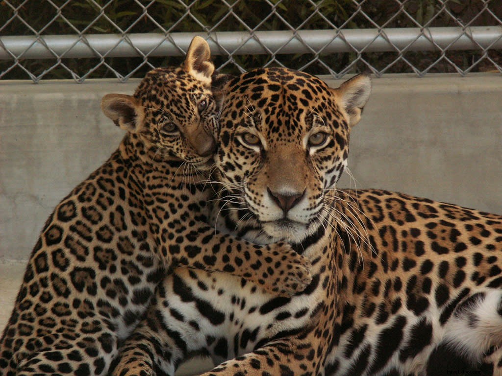 9 Ideal 9-Hole Golf Rounds Paired with Cool Attractions in Greater Palm Springs