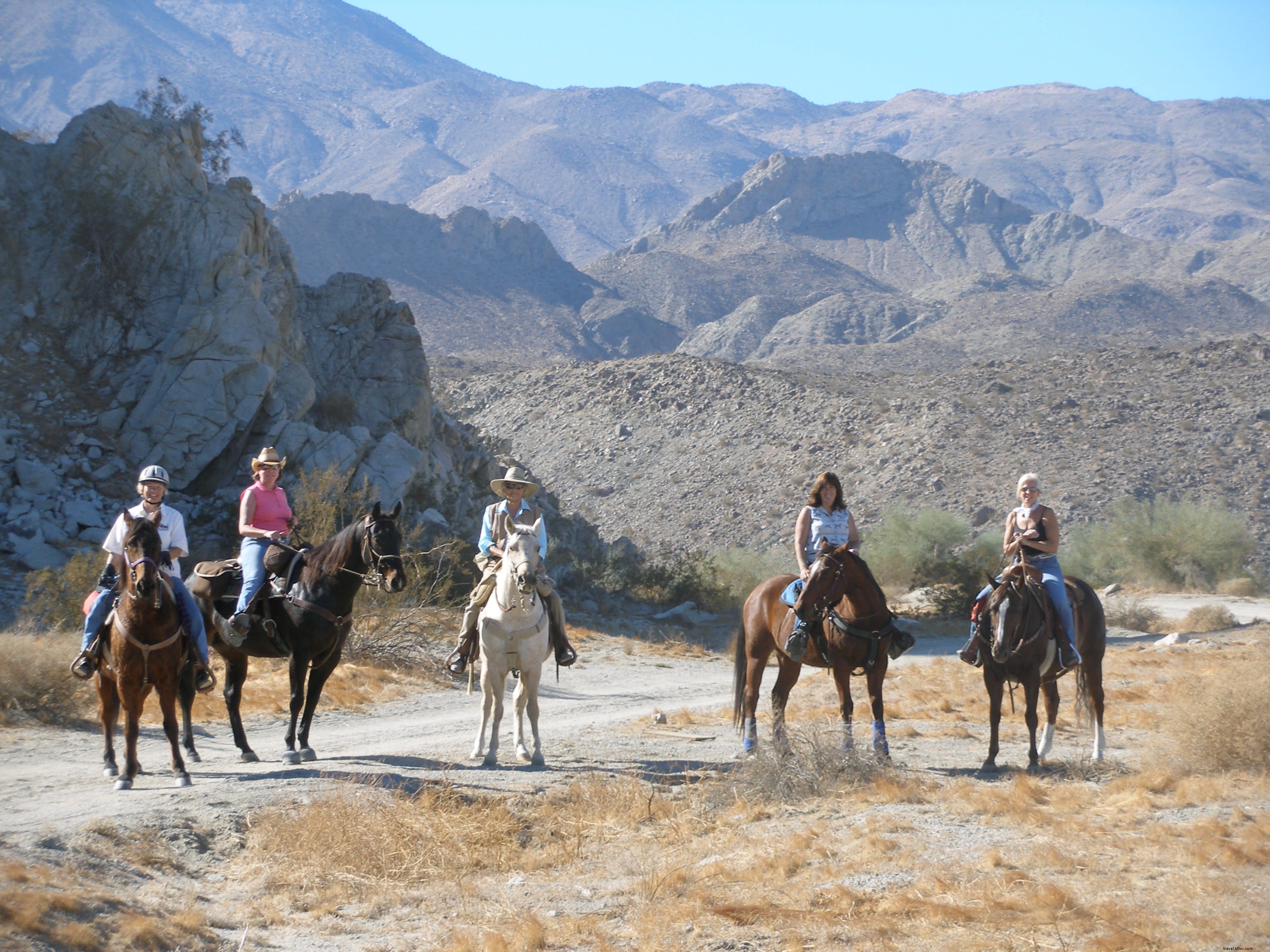 Discover Horseback Riding Adventures in Greater Palm Springs