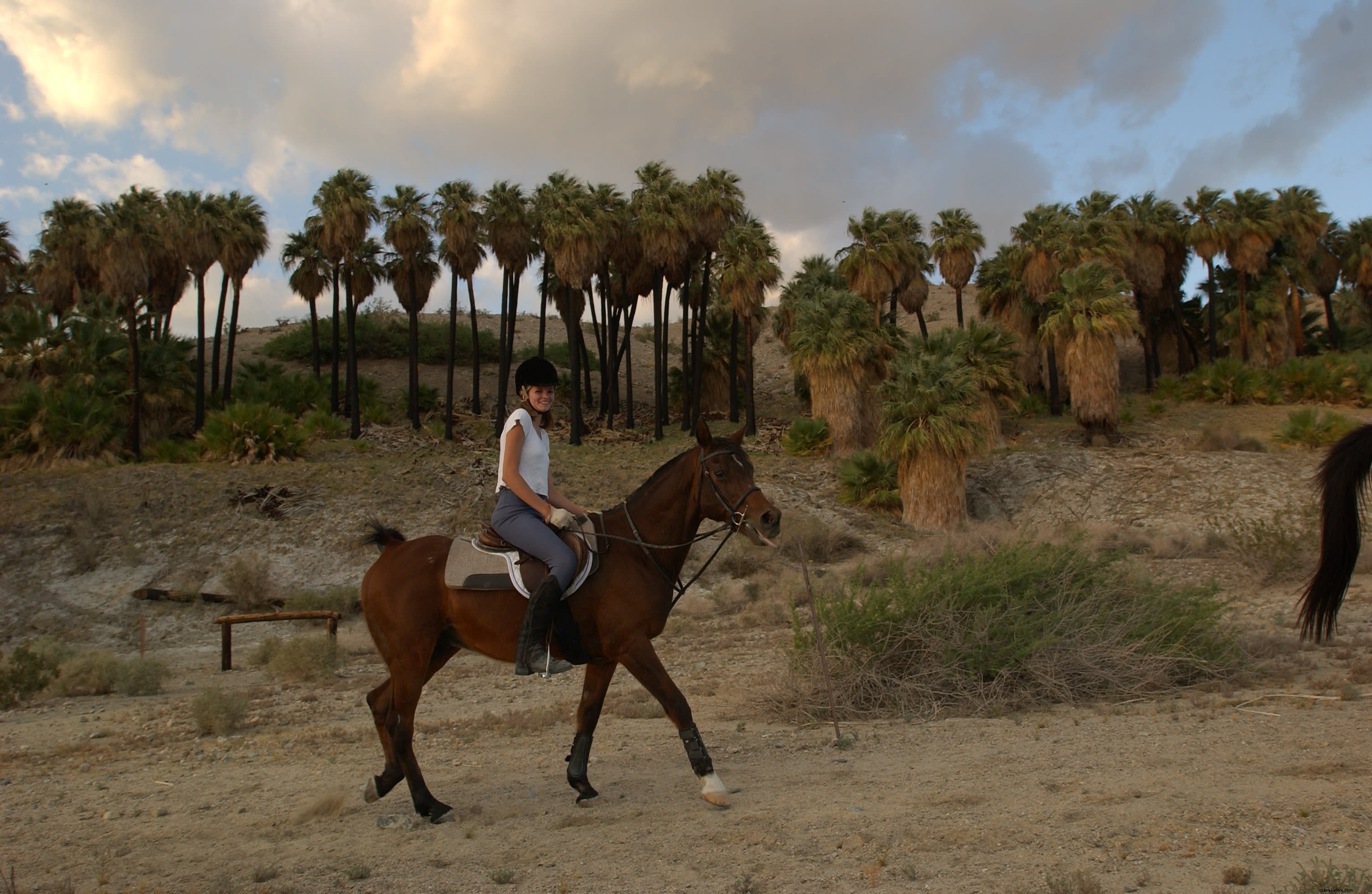 Discover Horseback Riding Adventures in Greater Palm Springs