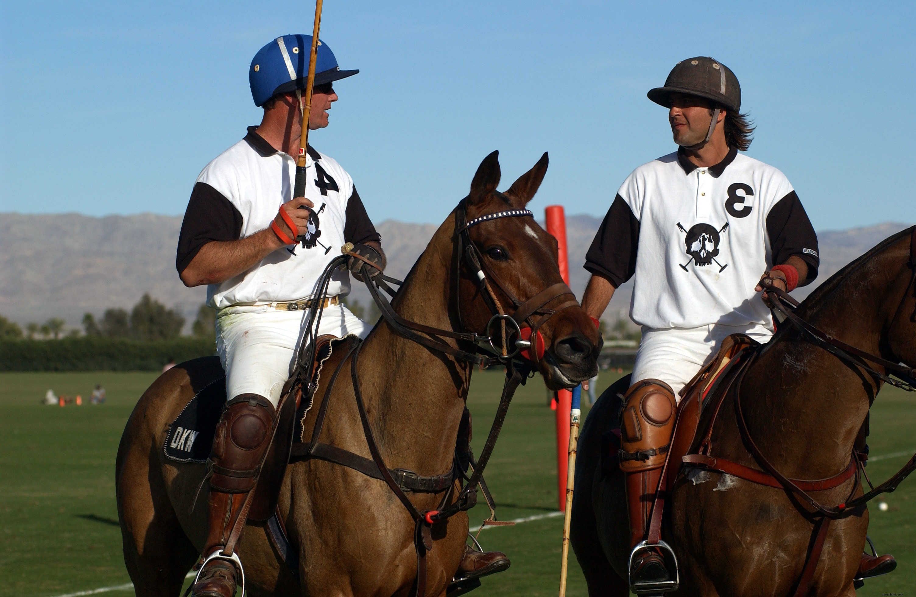 Discover Horseback Riding Adventures in Greater Palm Springs