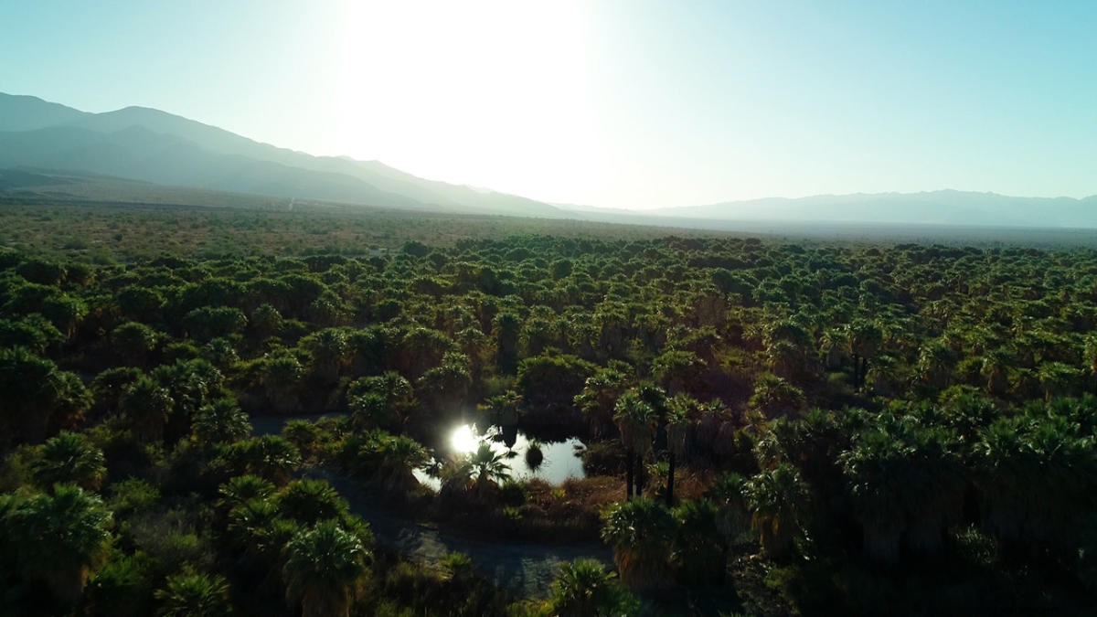 Ultimate Outdoor Adventures in Greater Palm Springs: A 2-Day Itinerary