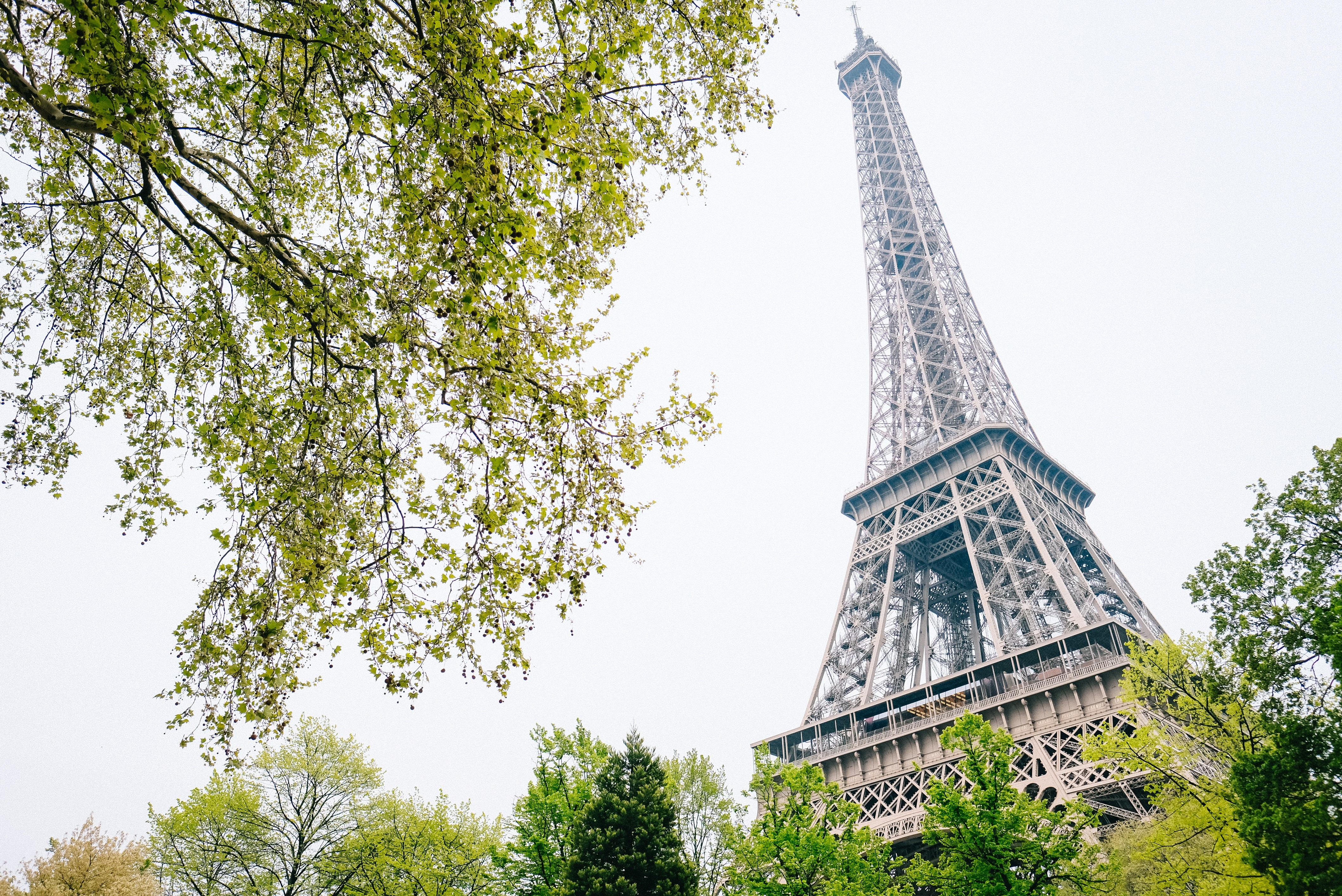 Discover Paris, France: The Iconic City of Light