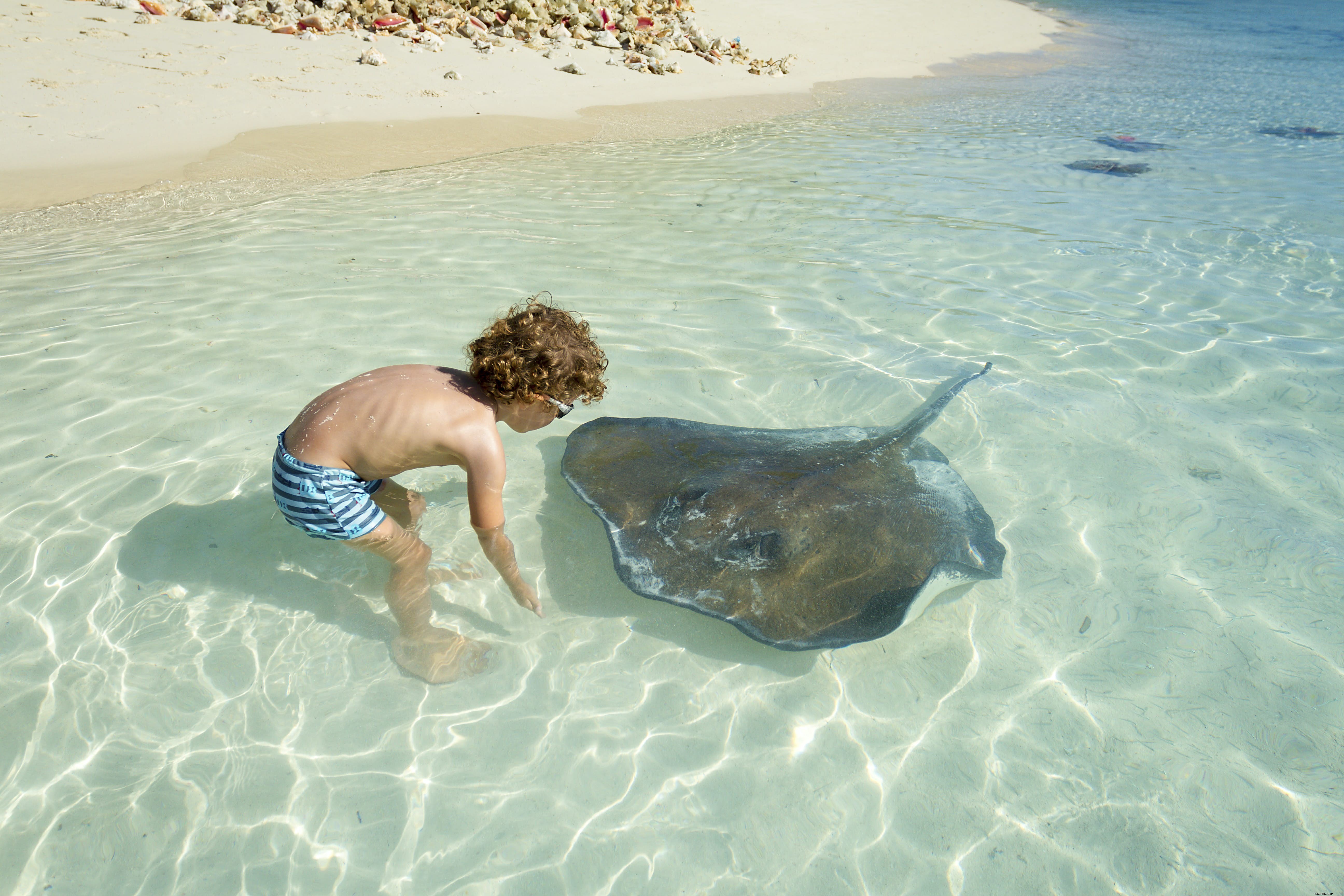 Exuma Cays Land and Sea Park: The Bahamas  Premier Marine Reserve