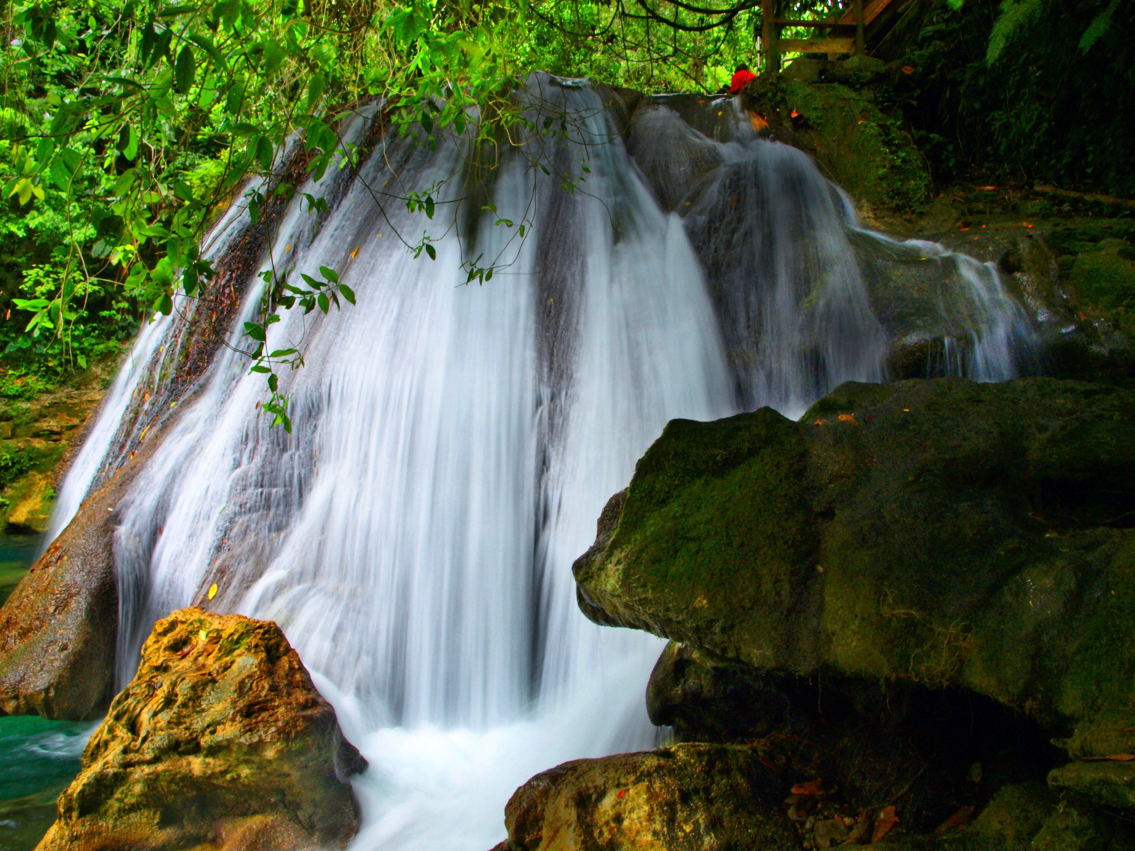 Reach Falls: Jamaica s Premier Waterfall Oasis in Pristine Rainforest