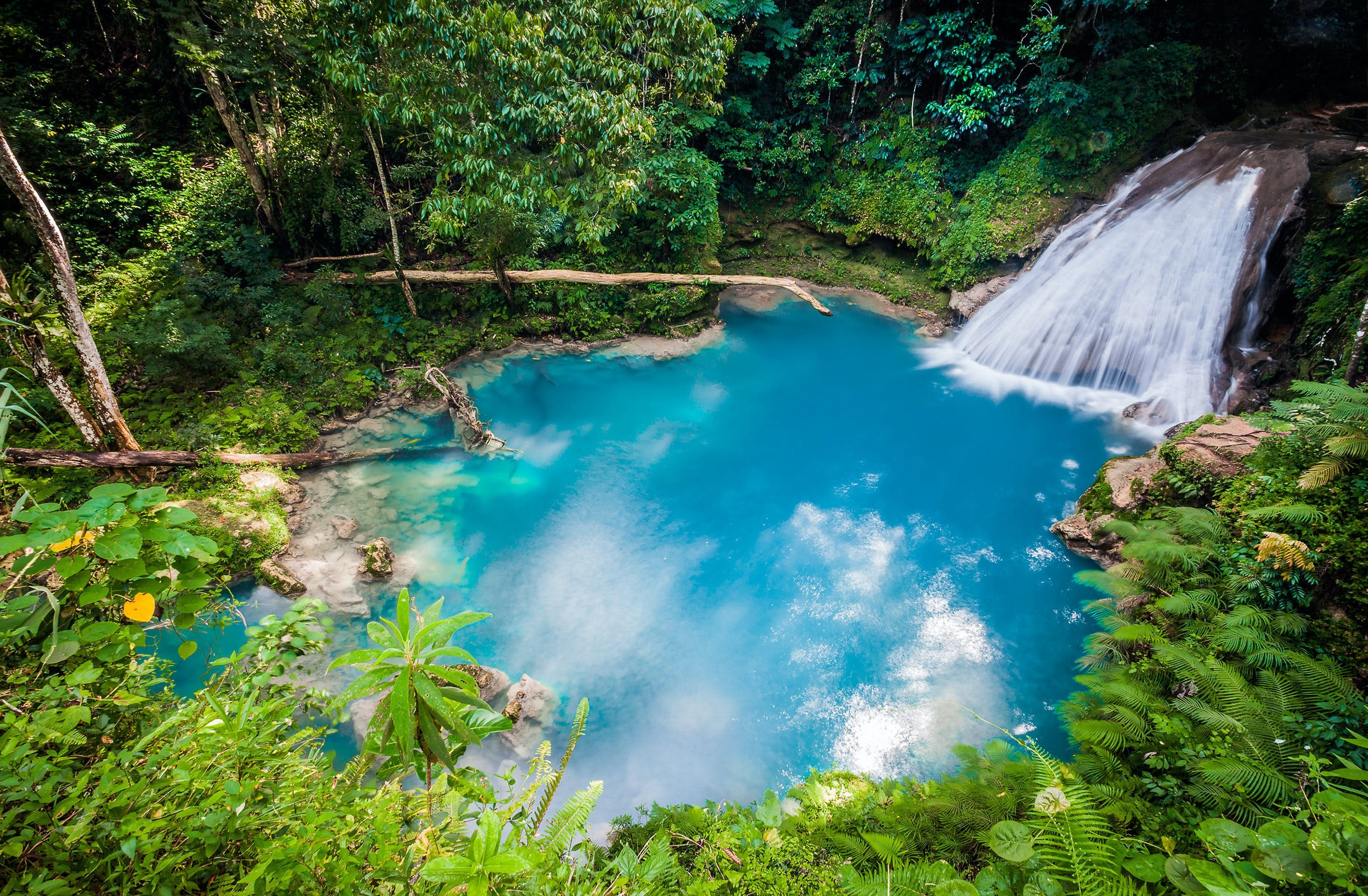 Jamaica s Enchanting Blue Hole in Ocho Rios: Swim, Dive & Explore Safely