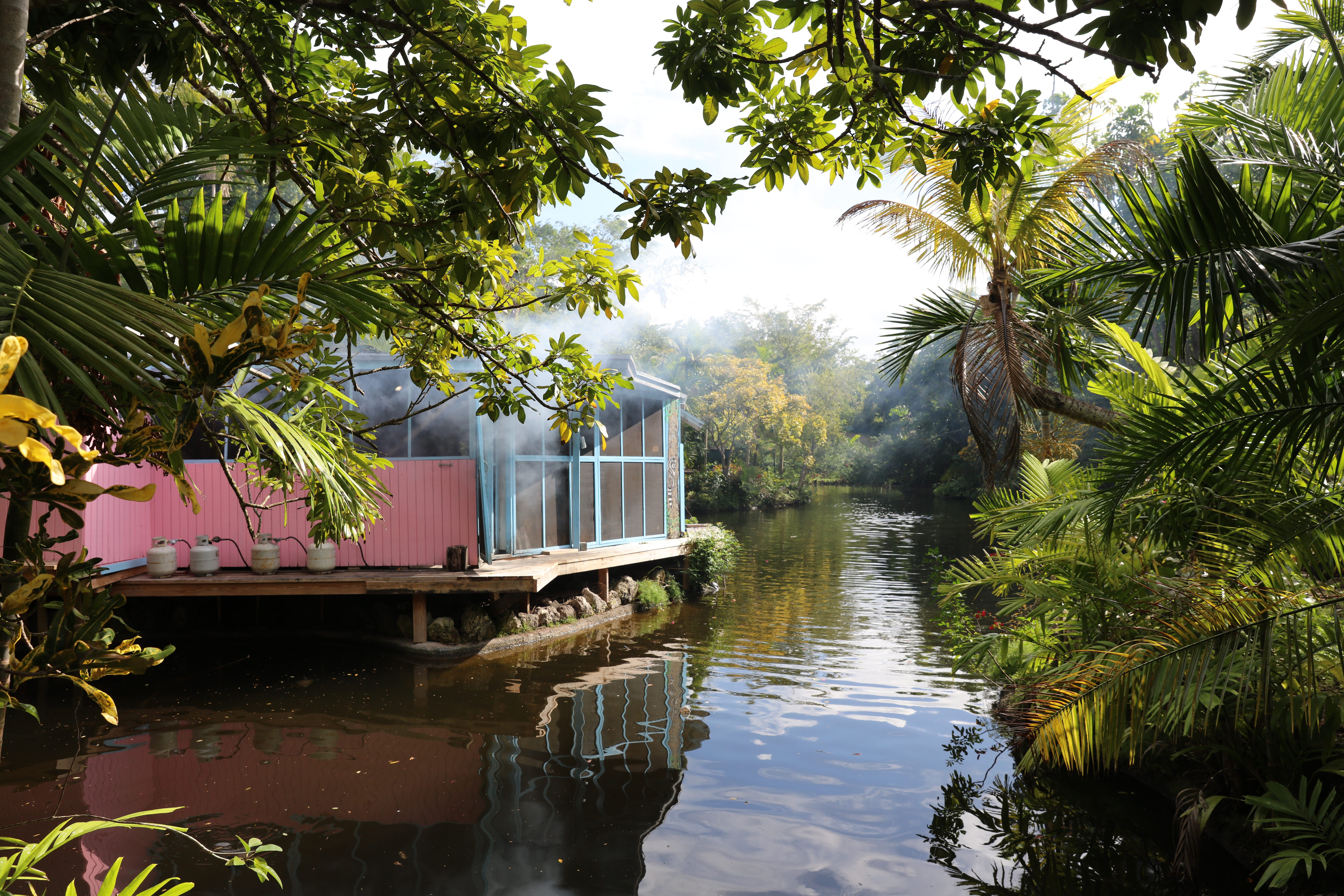 Garden of the Groves: Grand Bahama s Lush Oasis and Historical Retreat