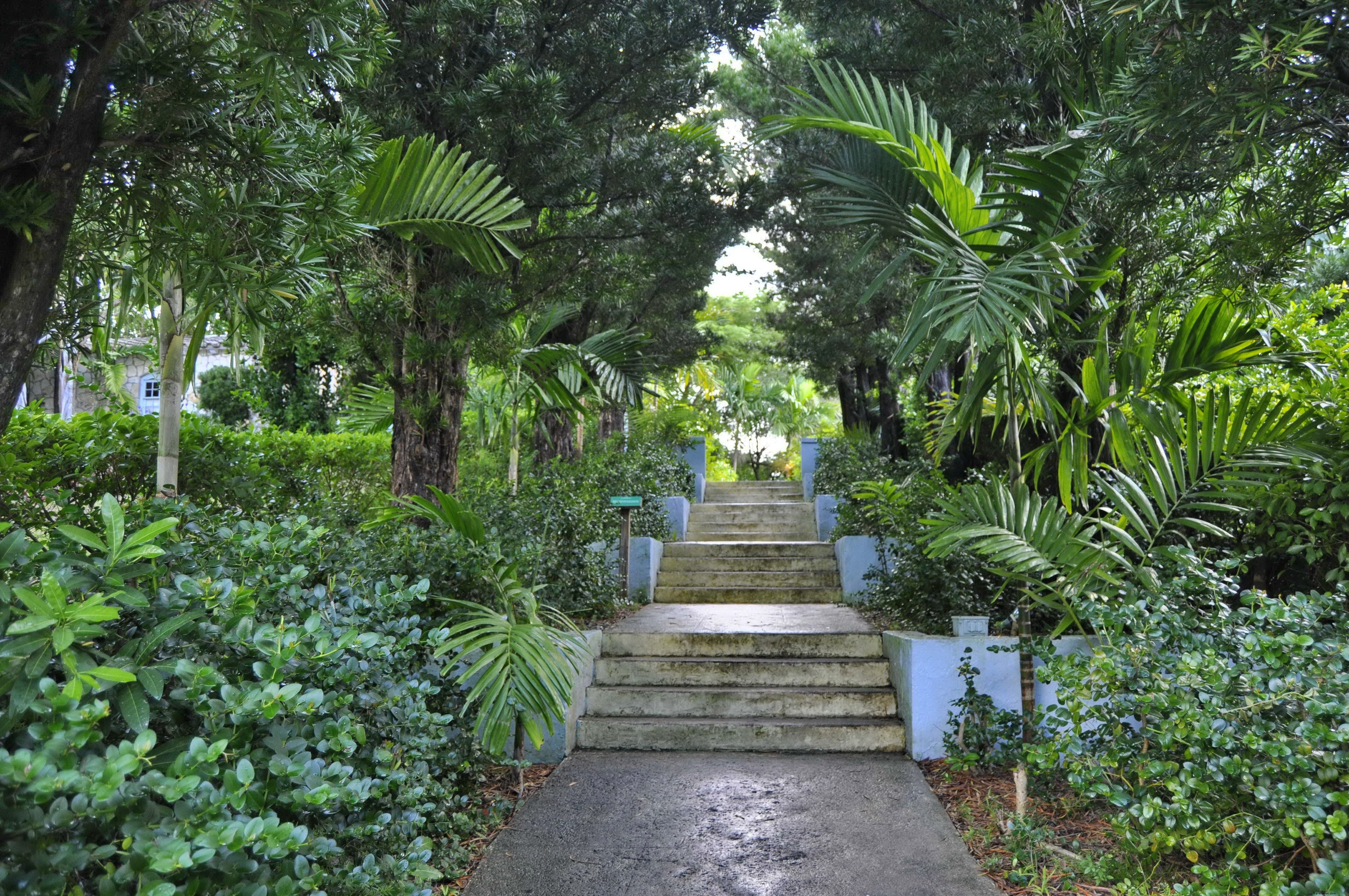 Garden of the Groves: Grand Bahama s Lush Oasis and Historical Retreat