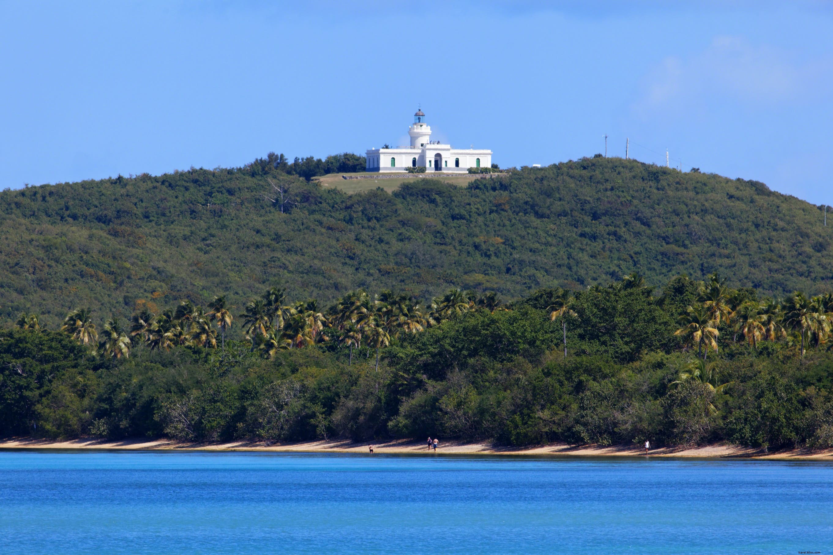 Las Cabezas de San Juan Nature Reserve: Puerto Rico s Bioluminescent Bay and Historic Lighthouse
