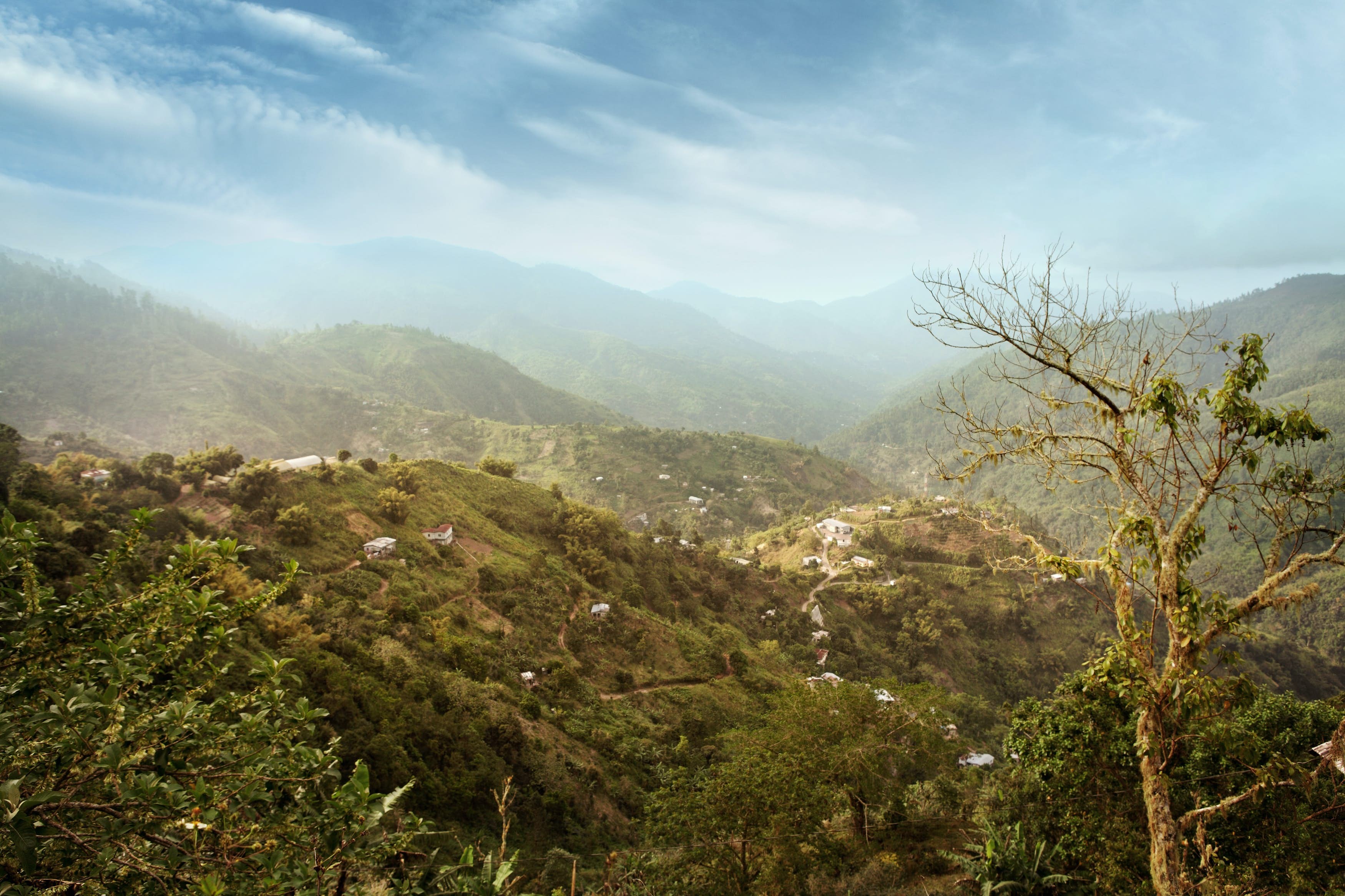 Blue Mountain Peak: Jamaica s Highest Summit at 2,256 Meters