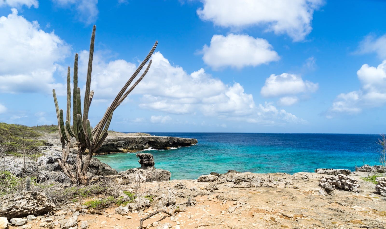Discover Washington-Slagbaai National Park: Bonaire s Vast Desert Wilderness