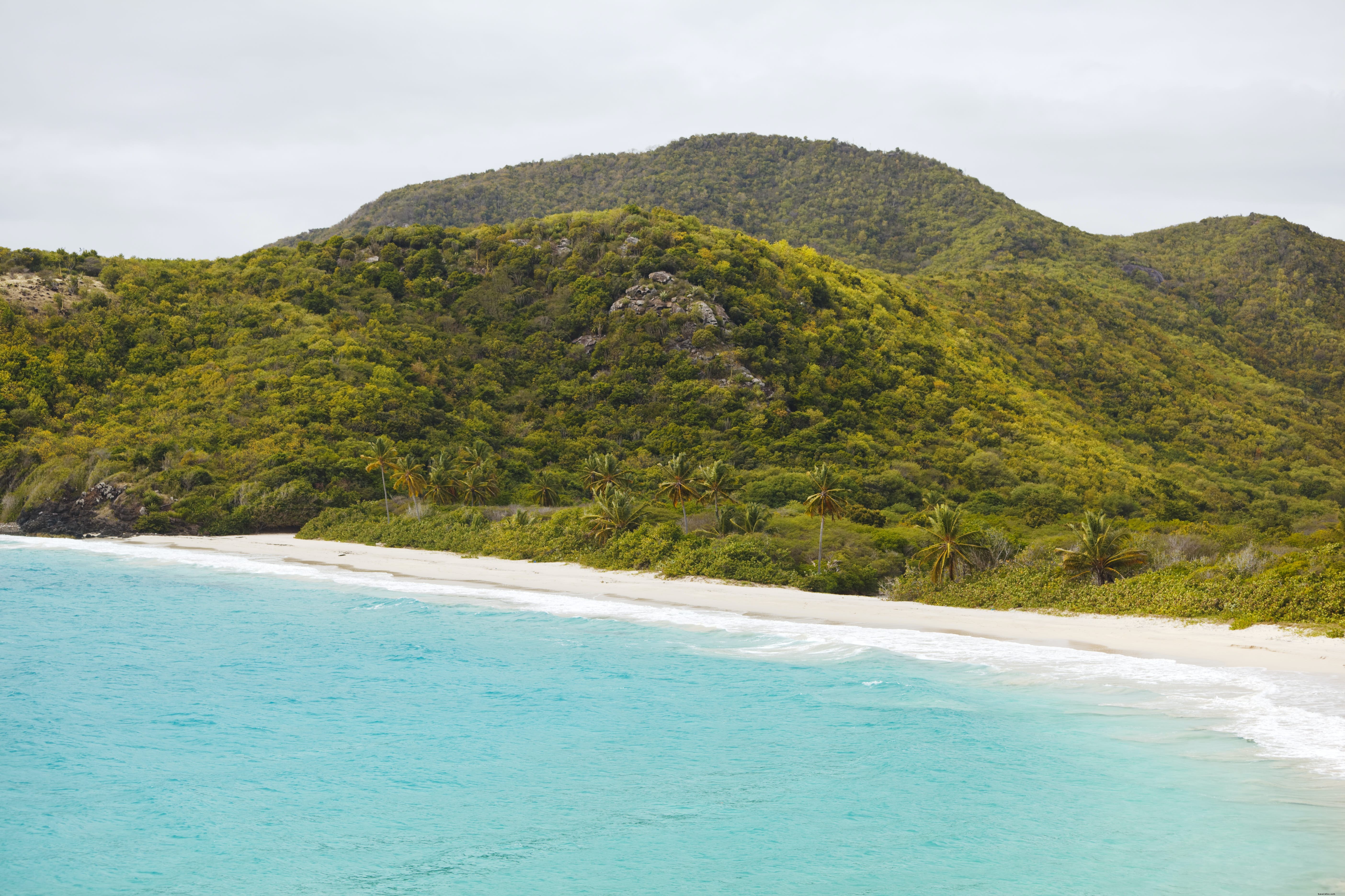 Rendezvous Bay: Antigua s Secluded Beach Paradise