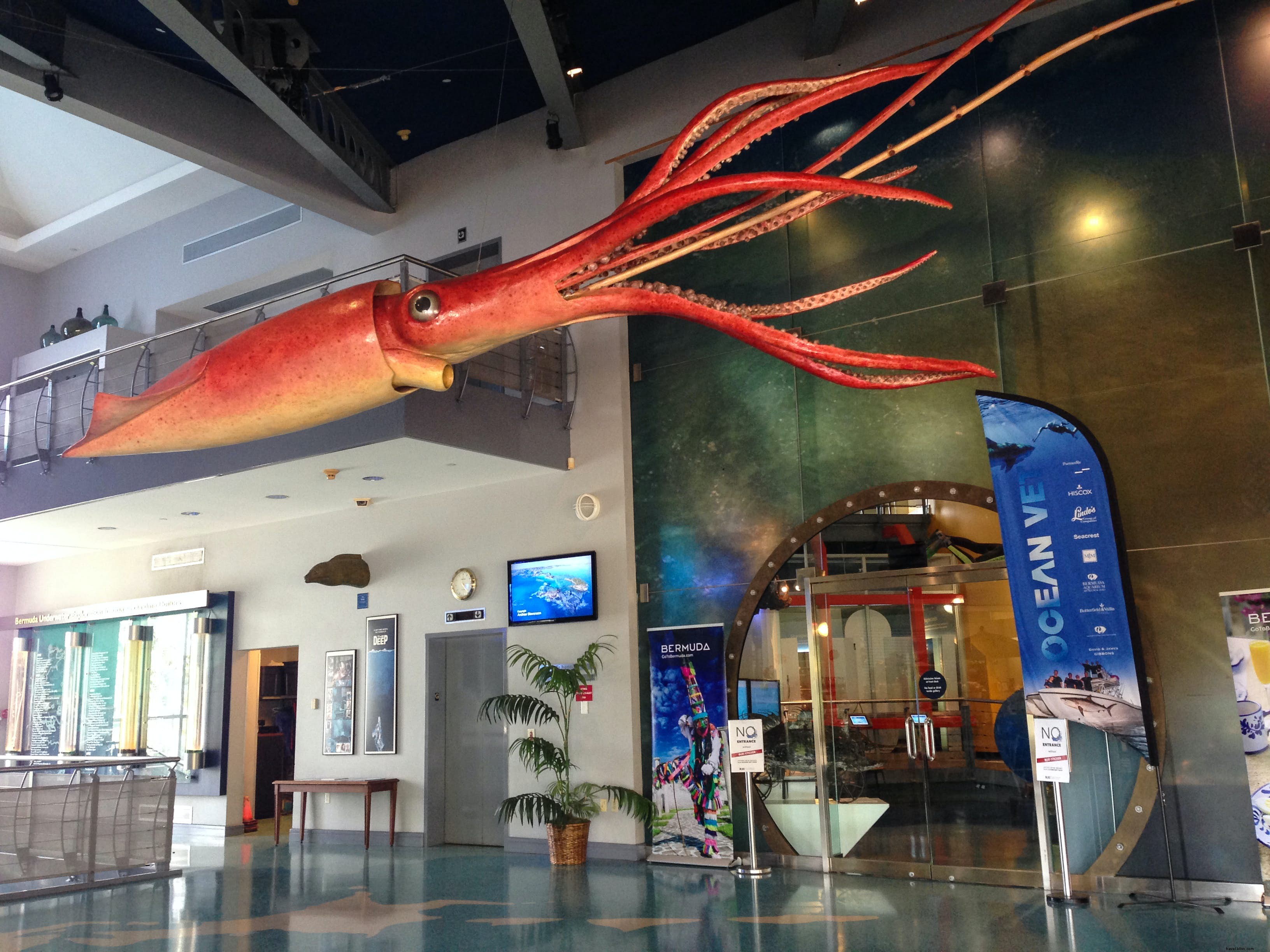 Bermuda Underwater Exploration Institute (BUEI): Dive into Ocean Mysteries