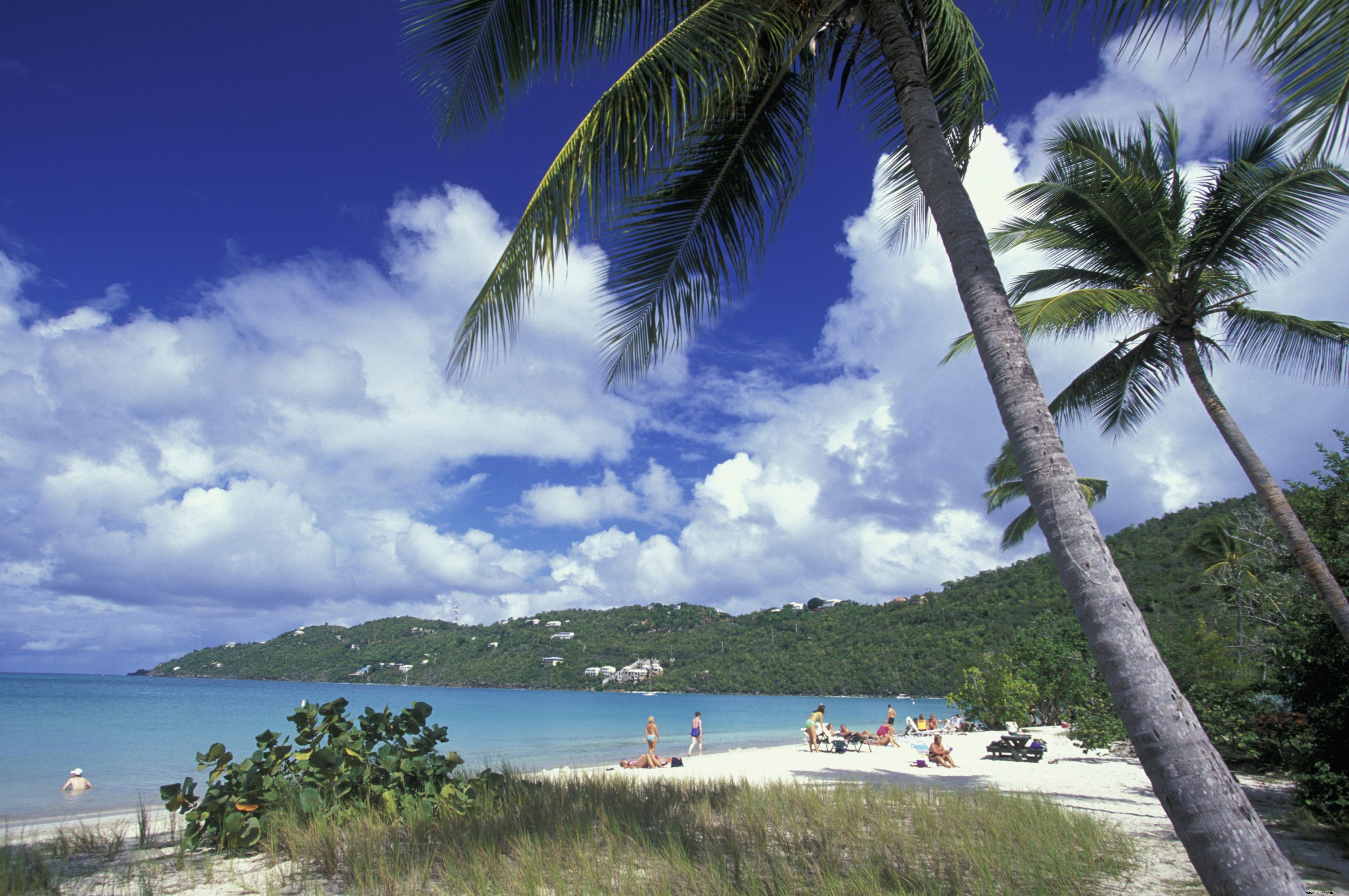 Magens Bay: St. Thomas  Iconic Mile of Pristine White Sand