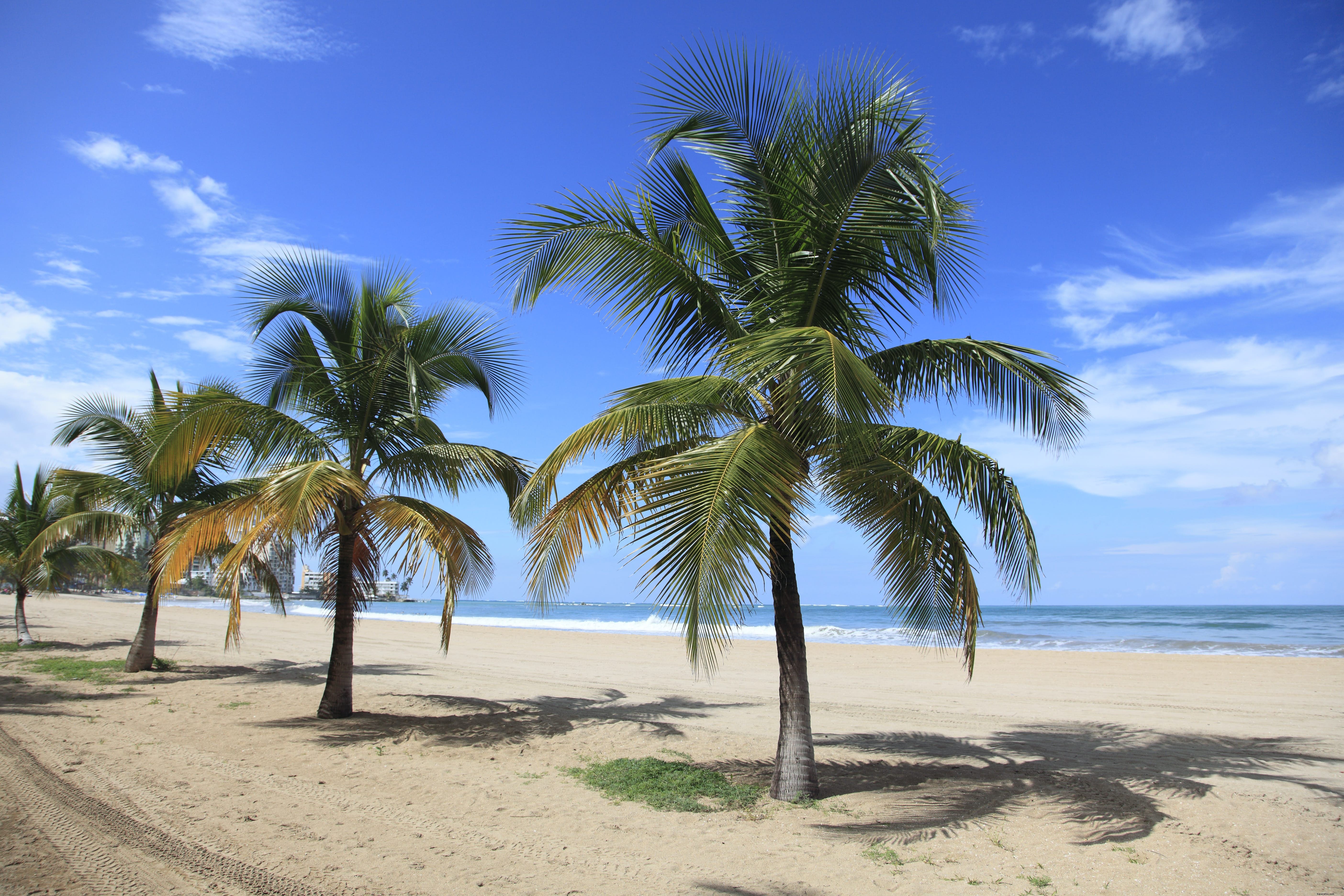 Playa Isla Verde: Puerto Rico s Vibrant Urban Beach Paradise