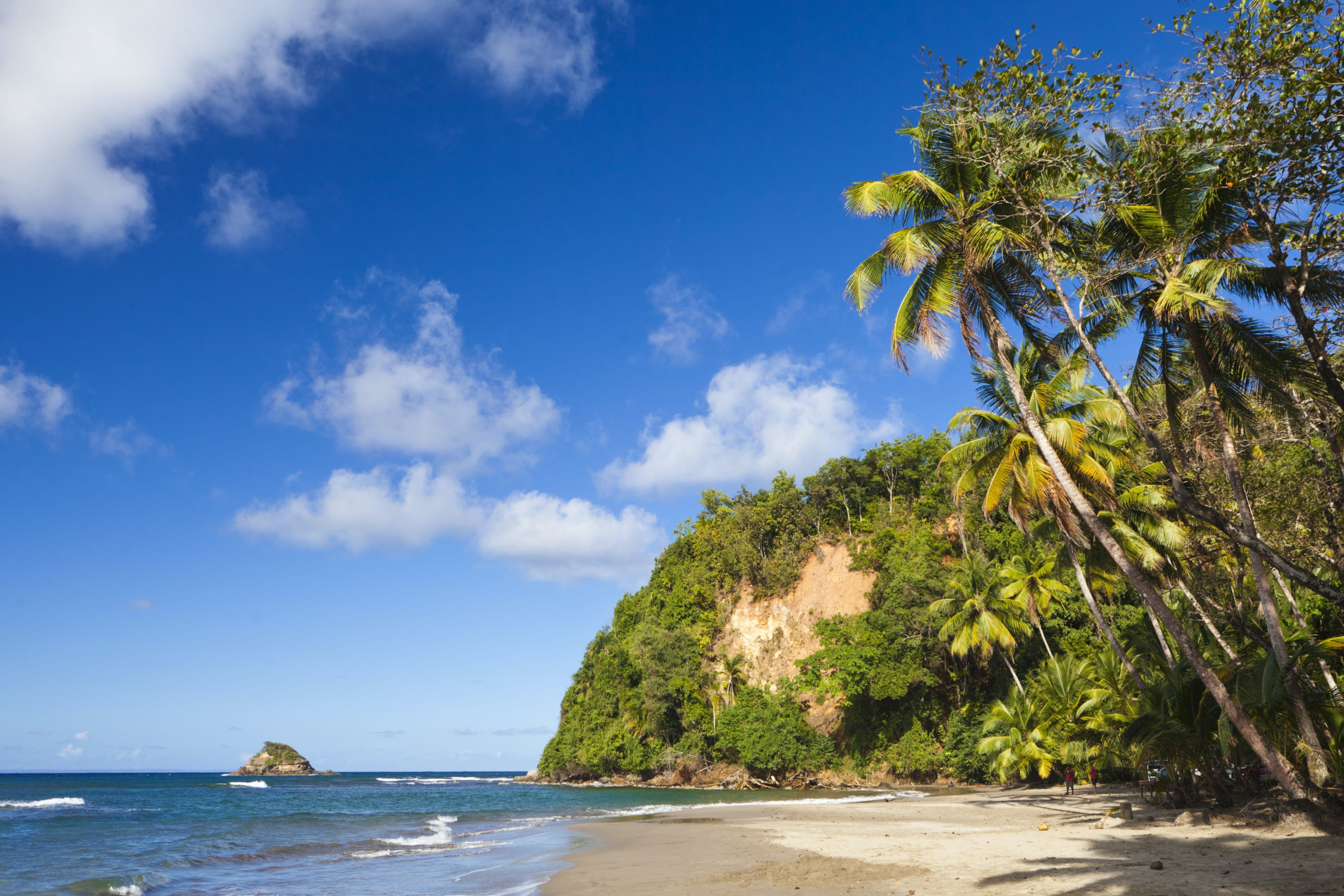 Batibou Beach: Dominica s Premier Wild Coconut-Fringed Paradise