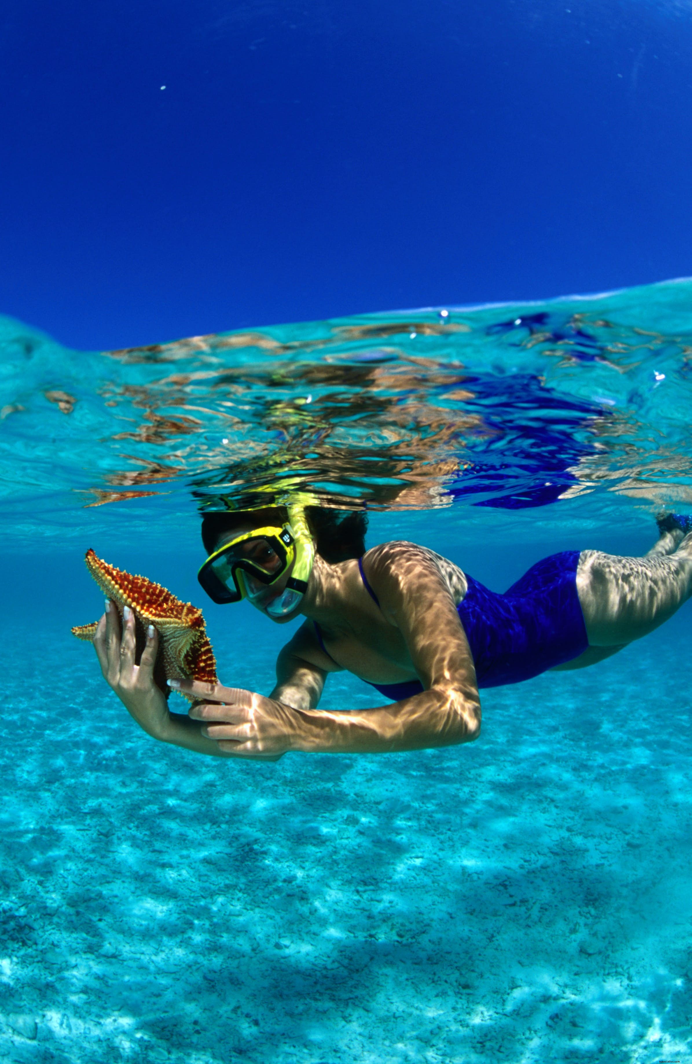 Leinster Bay: St. John s Premier Snorkeling at Waterlemon Cay