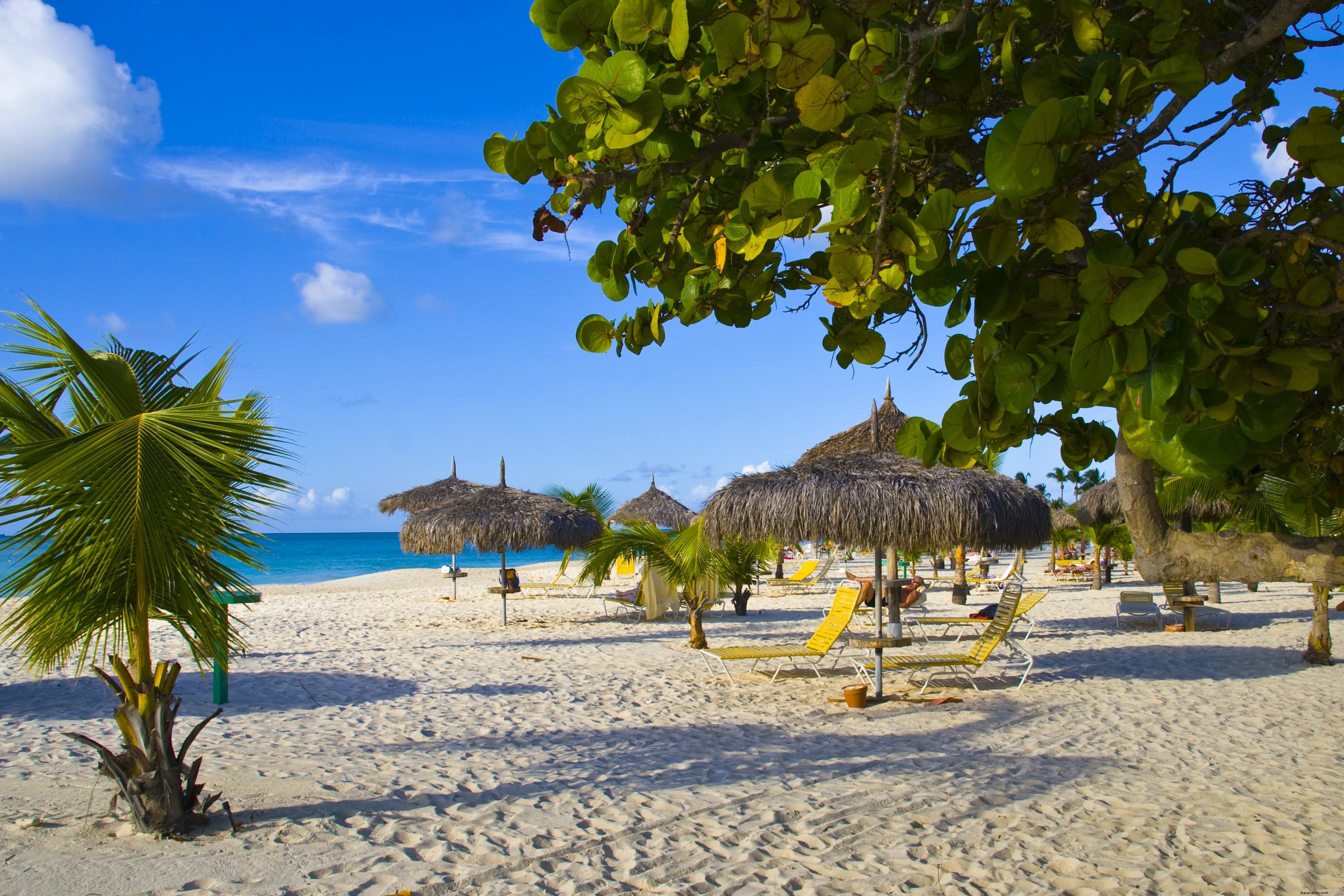 Eagle Beach, Aruba: A World-Class Stretch of Pristine White Sand