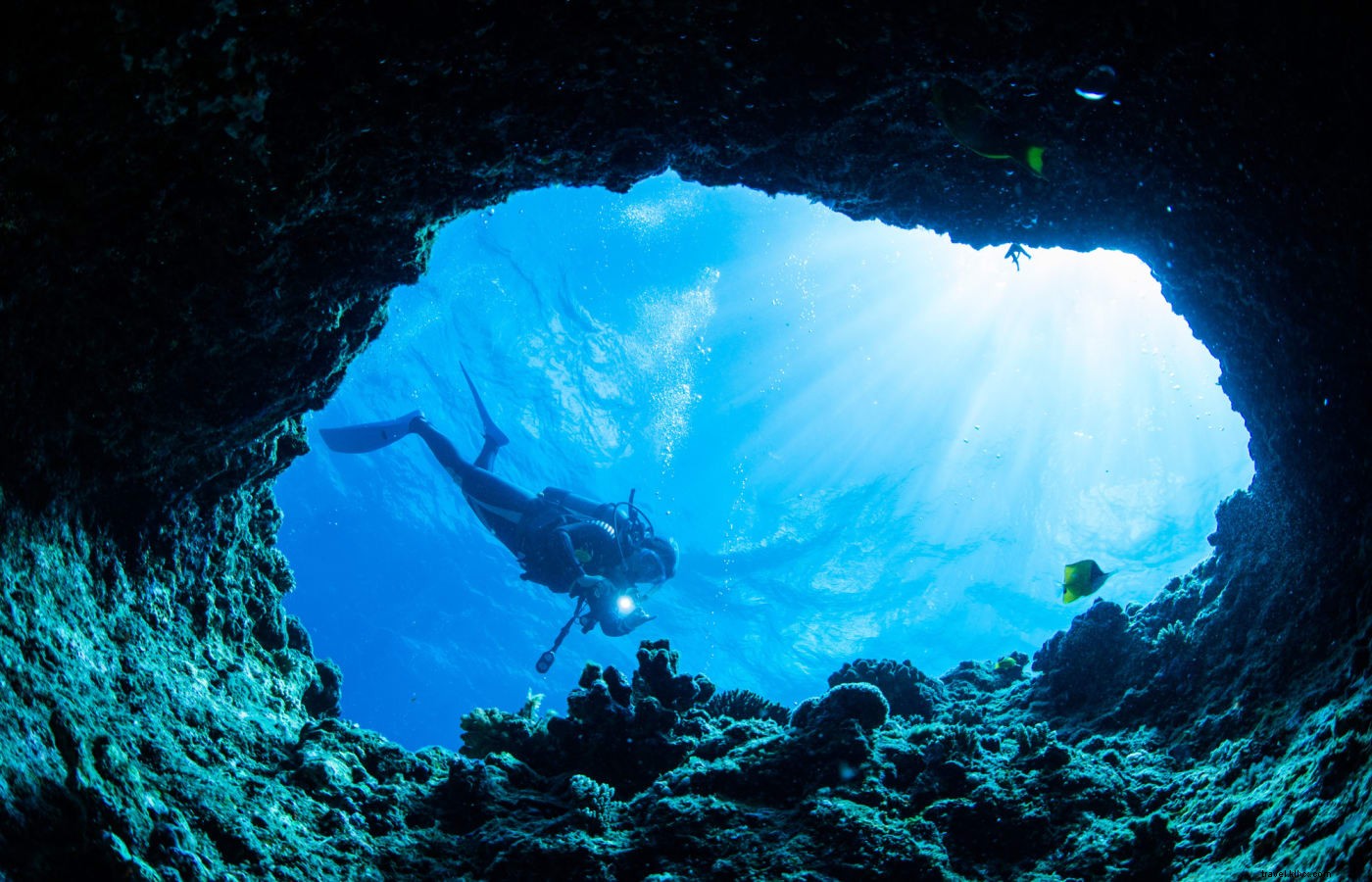 Discover Okinawa s Natural Wonders: National Parks, Coral Reefs, Forests, and Caves