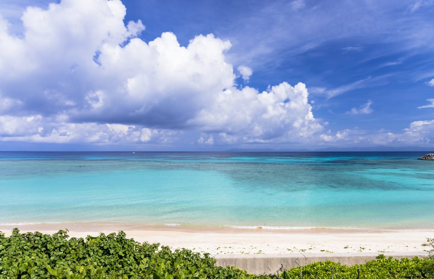 Discover Okinawa s Natural Wonders: National Parks, Coral Reefs, Forests, and Caves