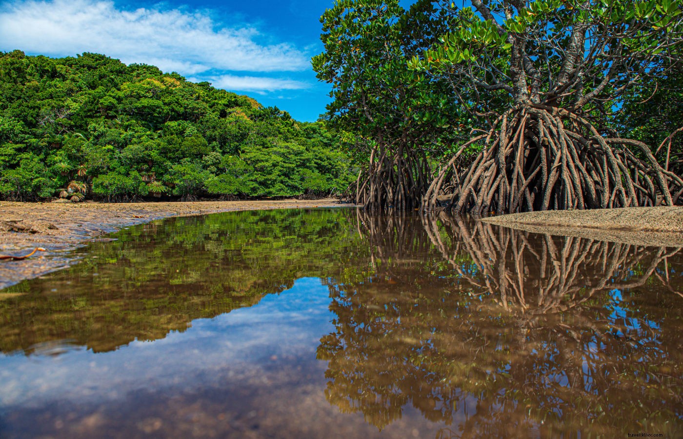 Discover Okinawa s Natural Wonders: National Parks, Coral Reefs, Forests, and Caves