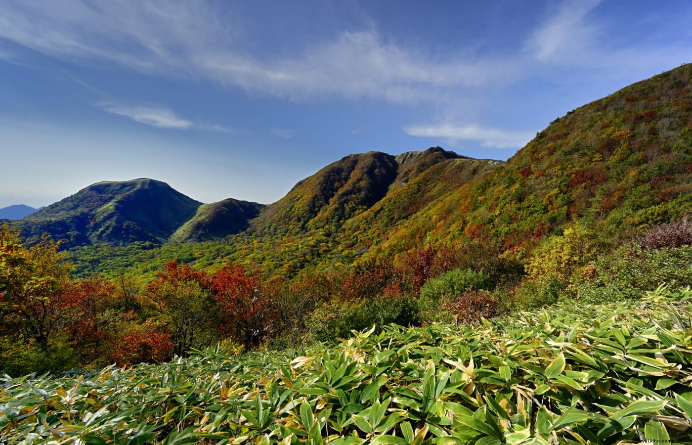 Discover Hidden Gems Beyond Hiroshima: Unveiling the San’in and San’yo Regions