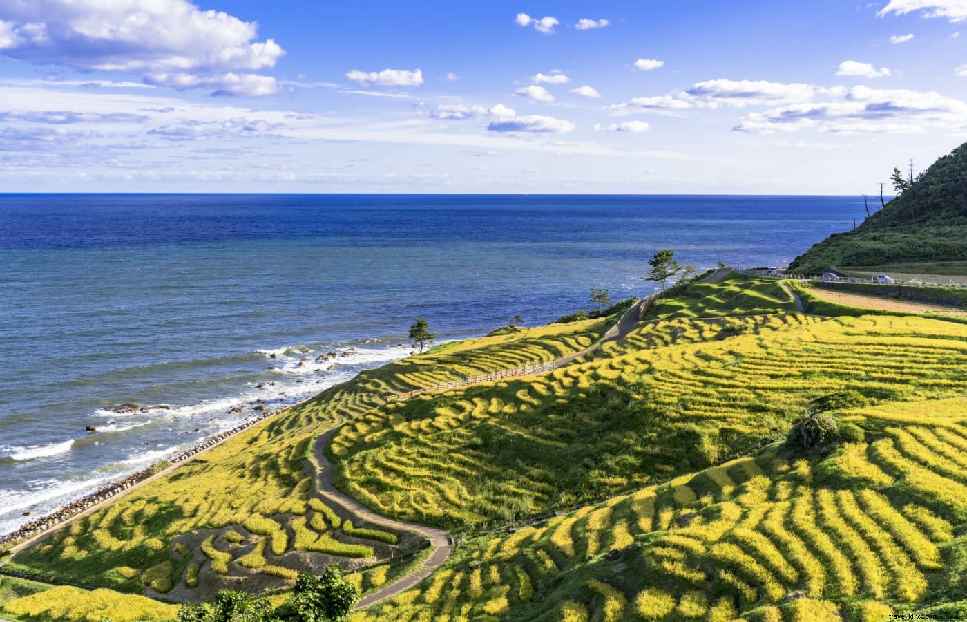 Japan s Premier Cycling Routes: Top Destinations for Bike Tours and Adventures