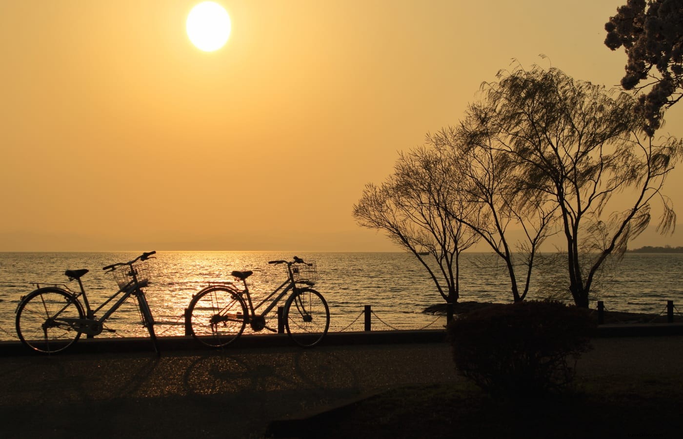 Japan s Premier Cycling Routes: Top Destinations for Bike Tours and Adventures