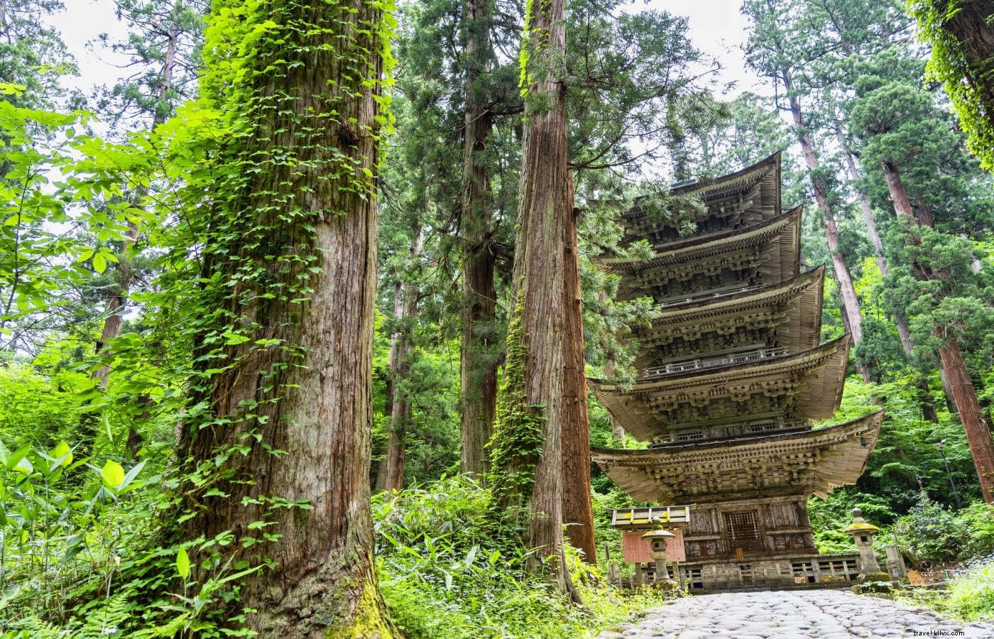 Shugendo: Japan s Syncretic Mountain Faith – Yamabushi Pilgrimages in Tohoku s Dewa Sanzan and Shikoku