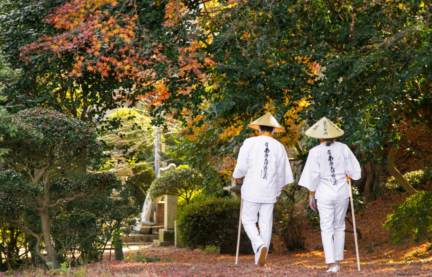 Shugendo: Japan s Syncretic Mountain Faith – Yamabushi Pilgrimages in Tohoku s Dewa Sanzan and Shikoku
