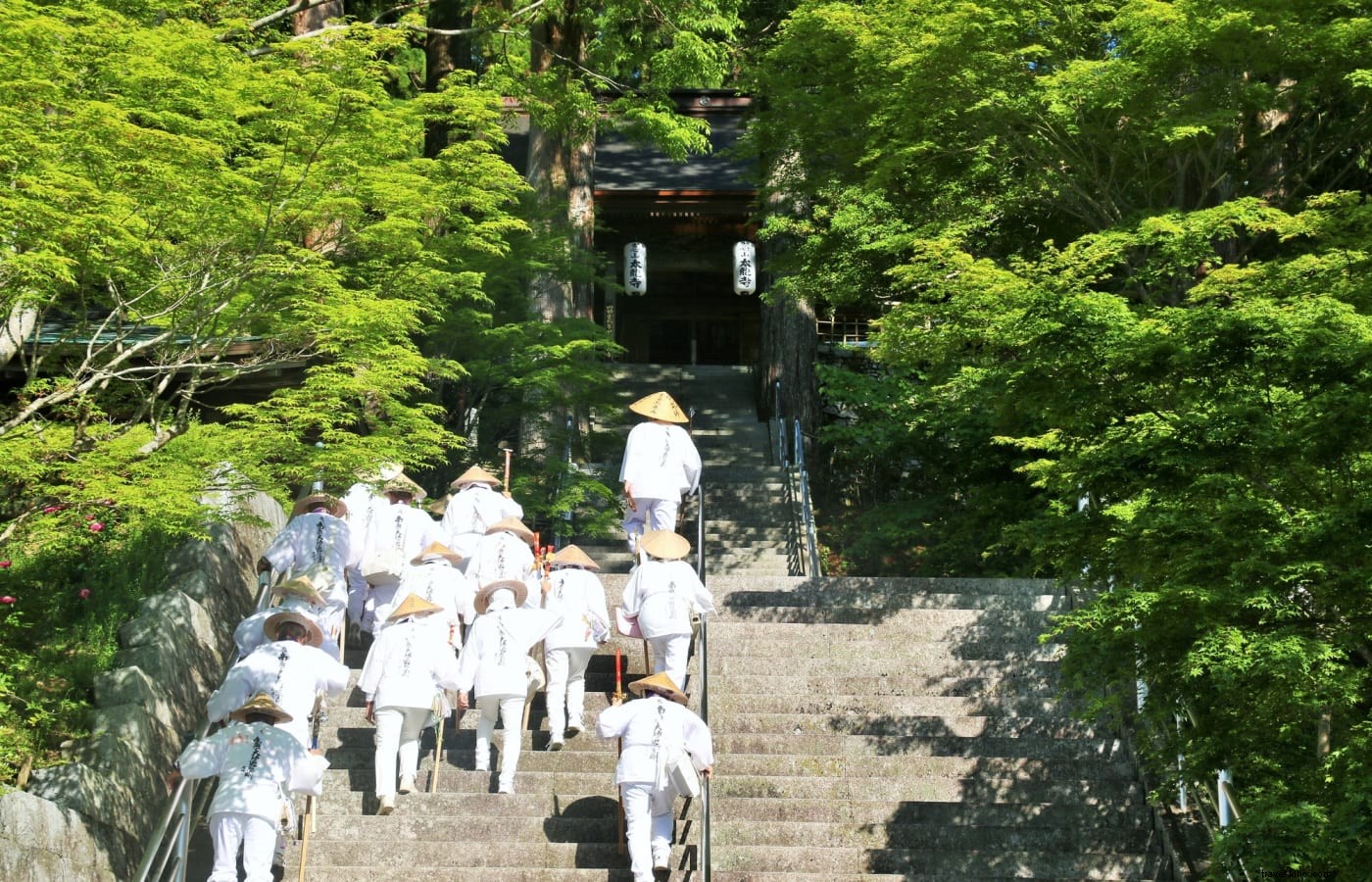 Shugendo: Japan s Syncretic Mountain Faith – Yamabushi Pilgrimages in Tohoku s Dewa Sanzan and Shikoku