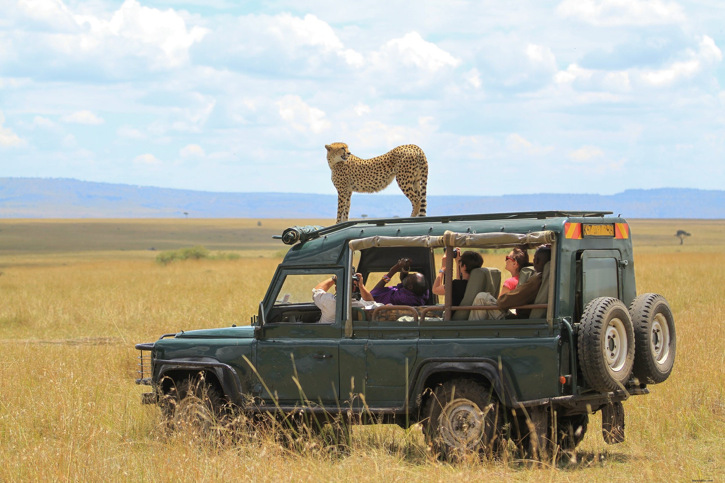 Best Destinations for Your First African Safari: An Expert Country Guide