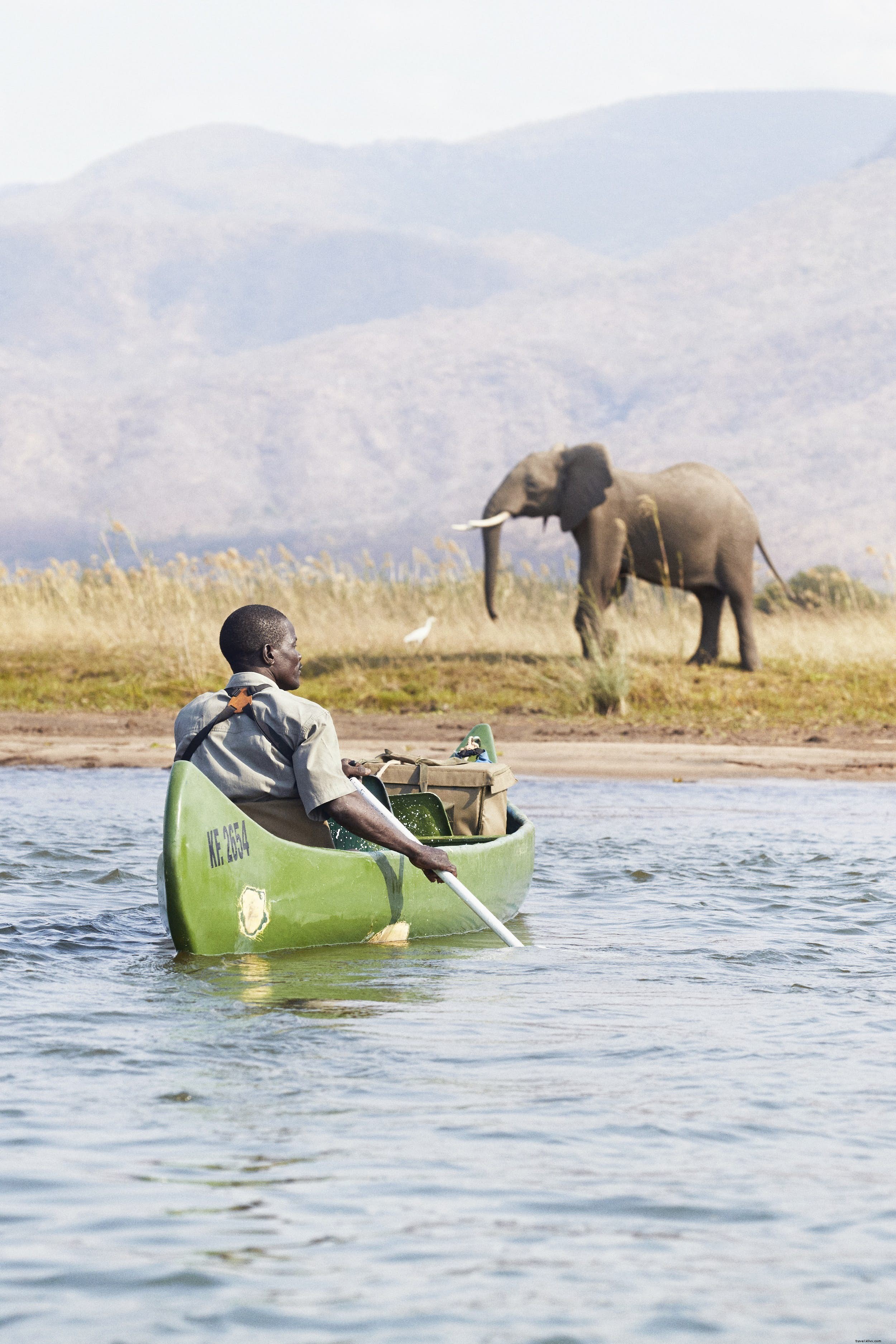 Best Destinations for Your First African Safari: An Expert Country Guide