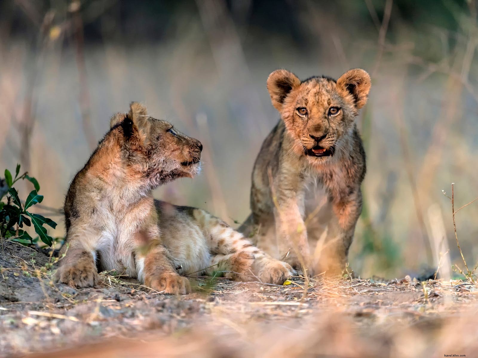 Best Places to Visit in June: Wildlife, Culture, Beaches & Culinary Delights