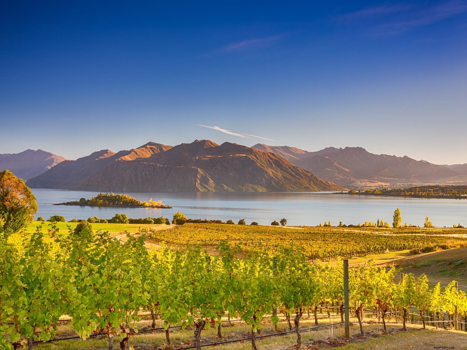 Best Places to Visit in February: Wildlife, Food, Culture, and Adventure