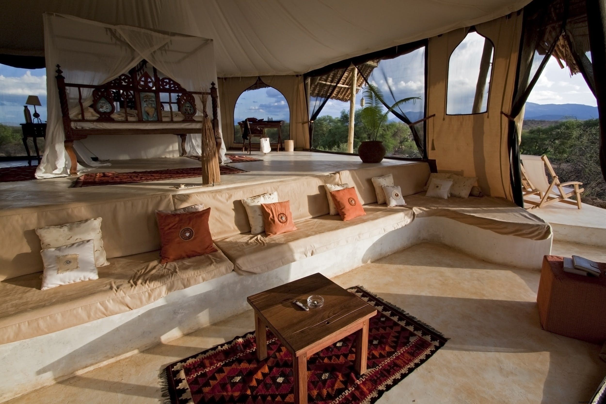 Expert Tips to Make Your African Safari Affordable and Unforgettable