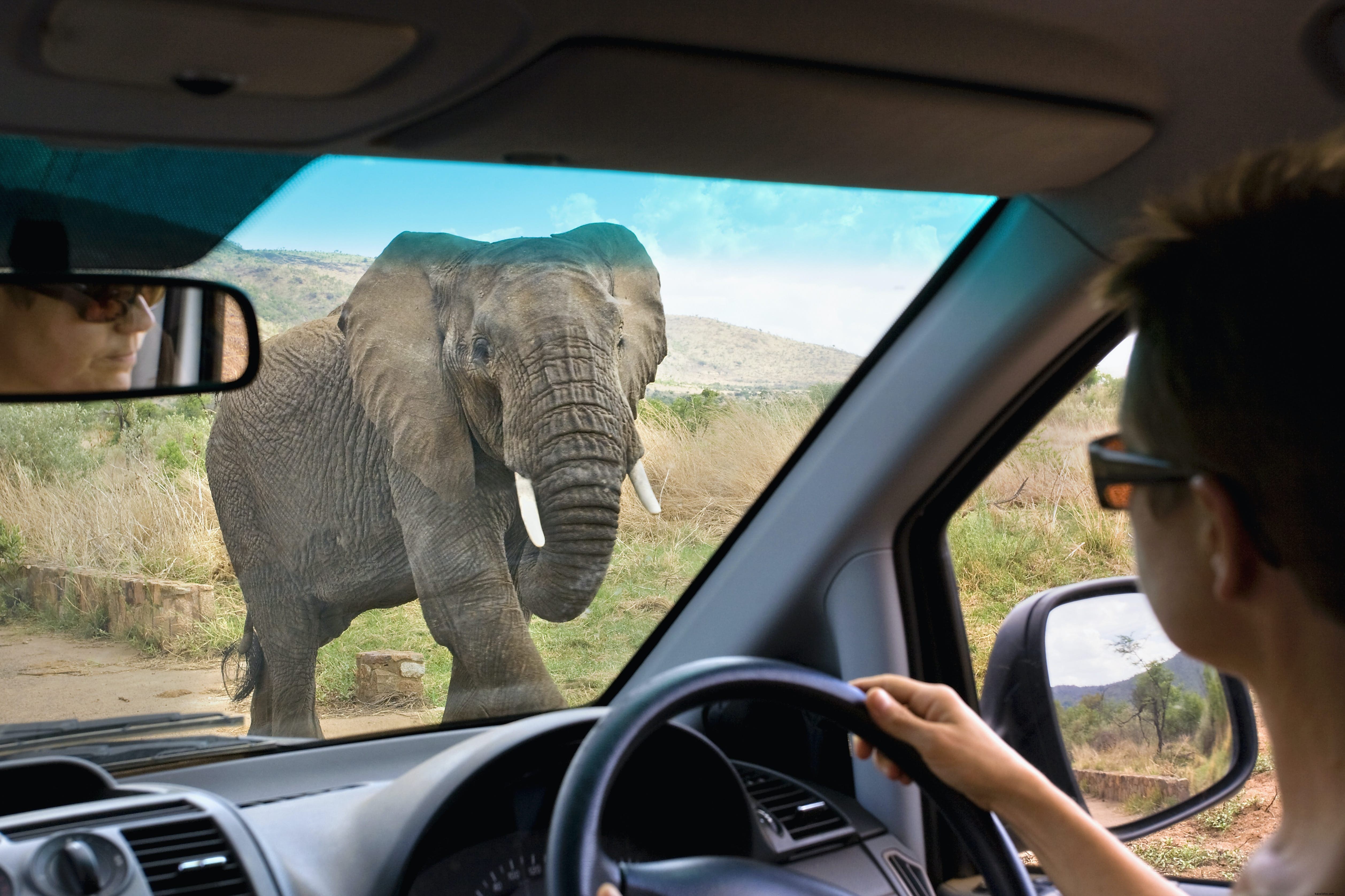 Self-Drive Safari in Africa: Are You Ready? Pros, Cons, and Top Alternatives