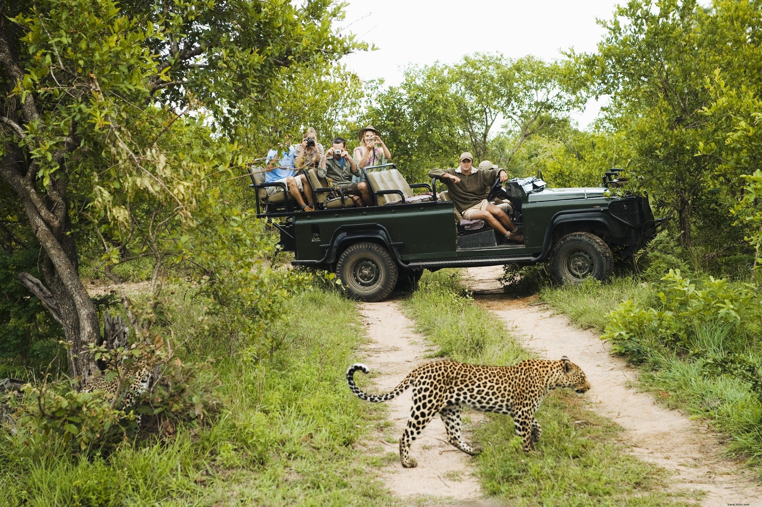 Self-Drive Safari in Africa: Are You Ready? Pros, Cons, and Top Alternatives