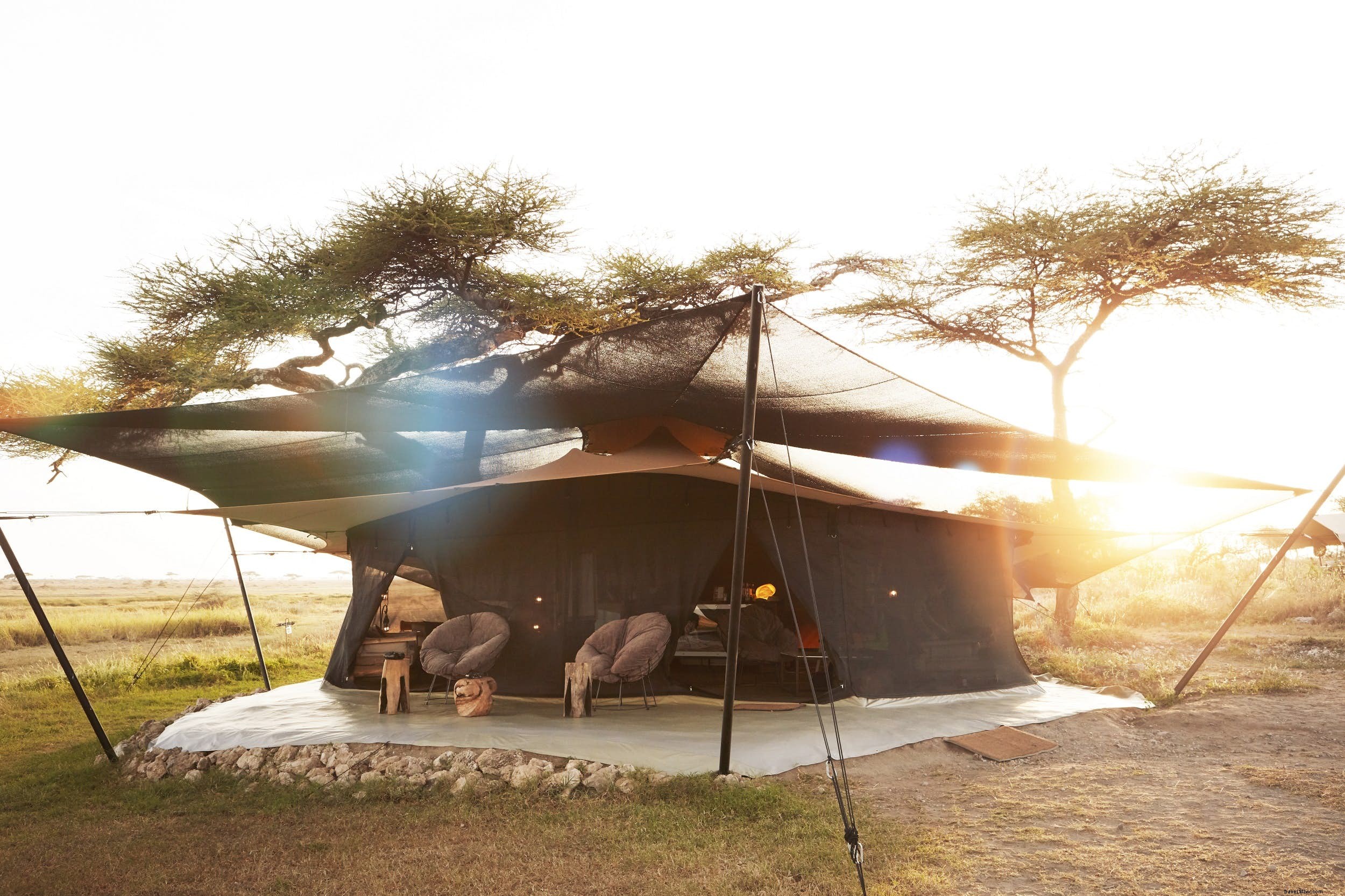 A Typical Day on African Safari: What to Expect from Dawn Game Drives to Bush Sundowners