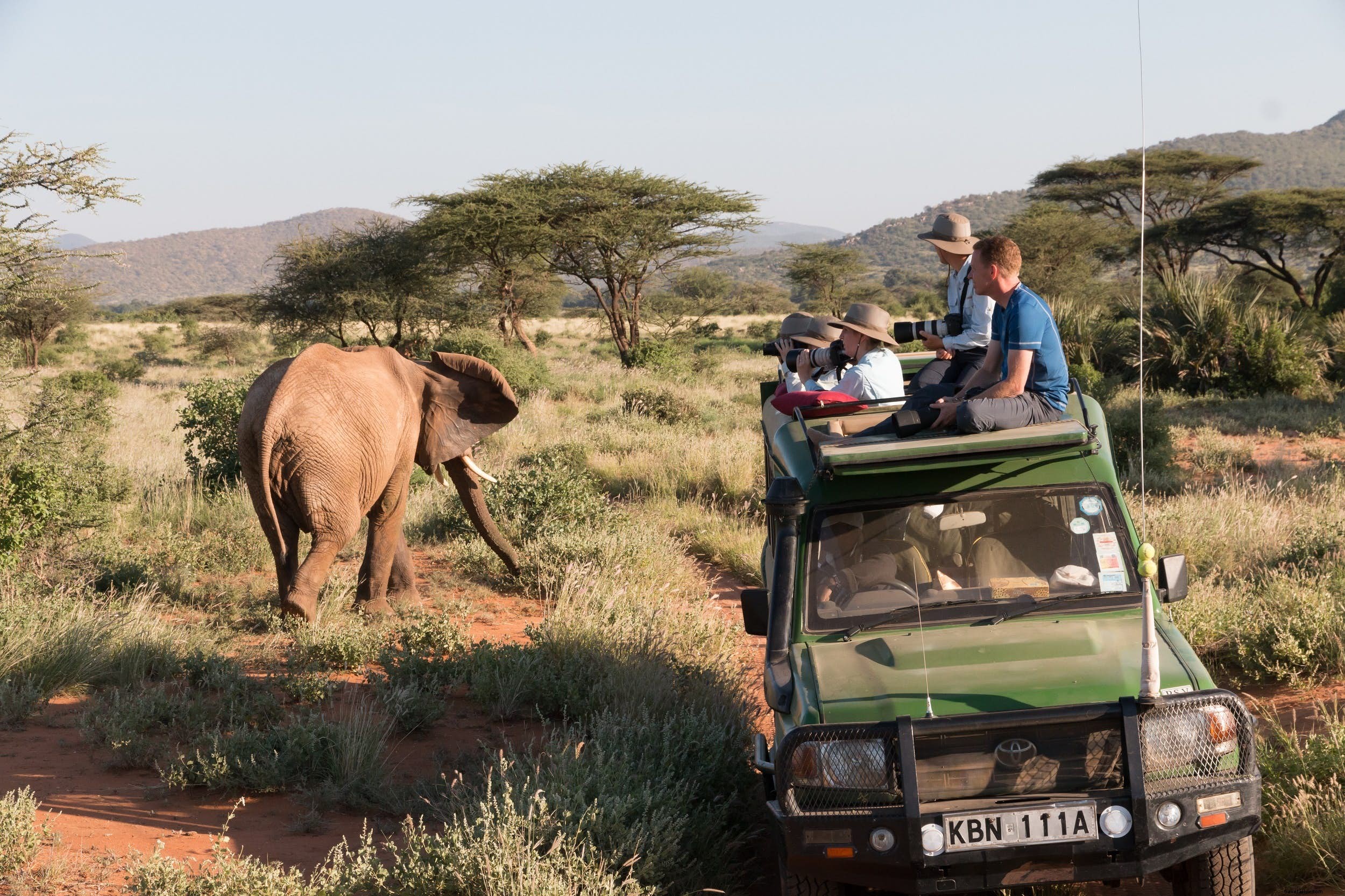 A Typical Day on African Safari: What to Expect from Dawn Game Drives to Bush Sundowners