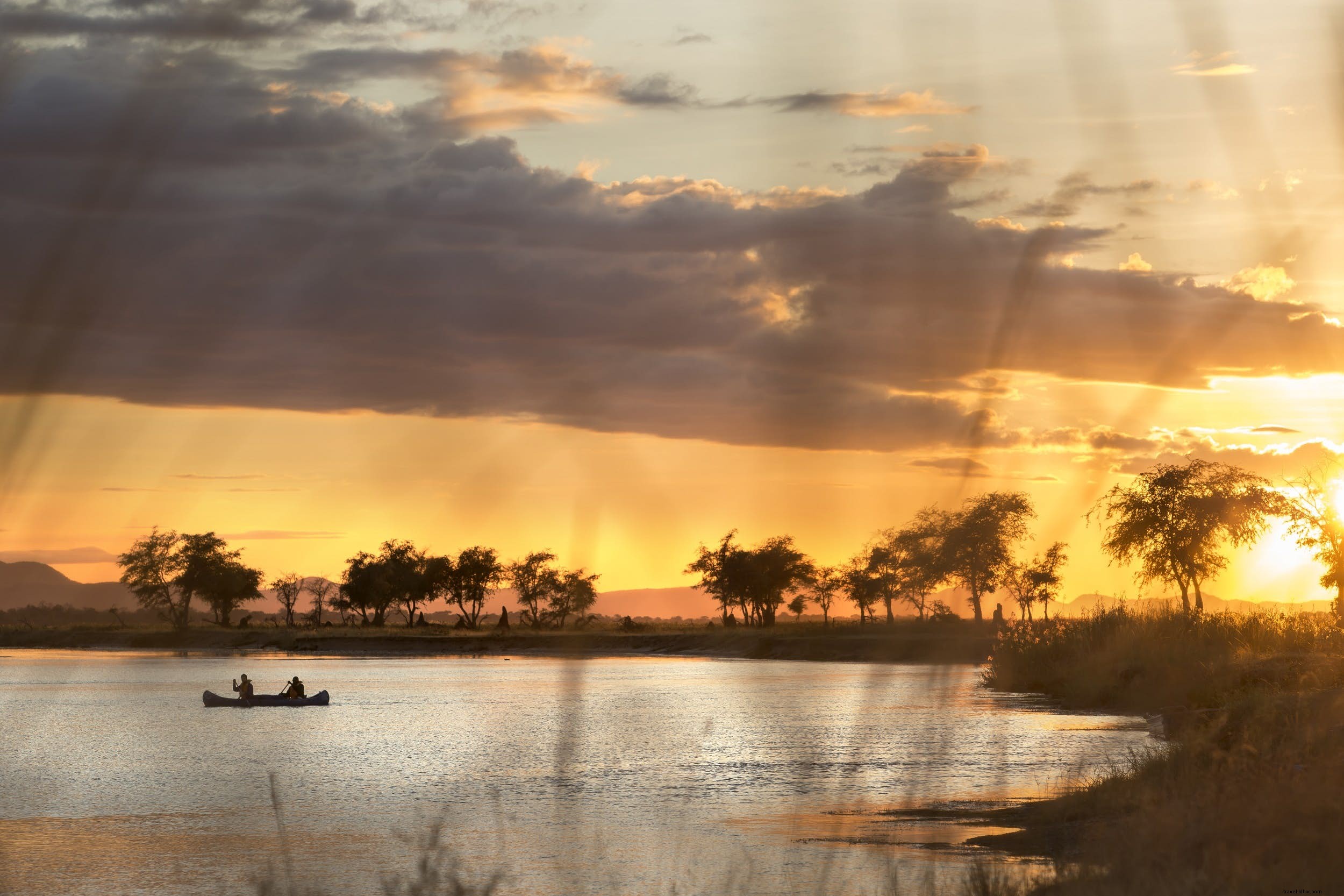 A Typical Day on African Safari: What to Expect from Dawn Game Drives to Bush Sundowners