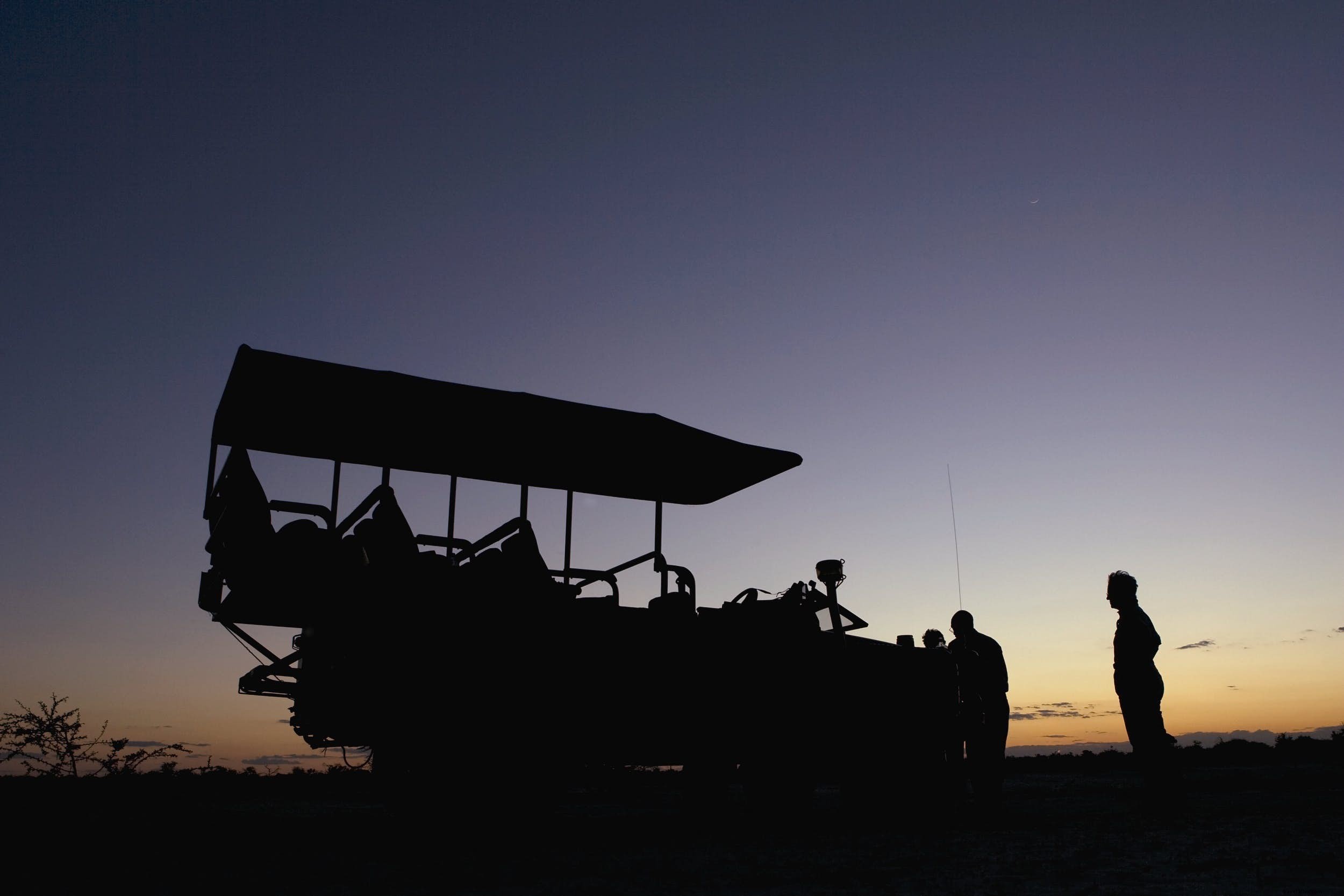 A Typical Day on African Safari: What to Expect from Dawn Game Drives to Bush Sundowners