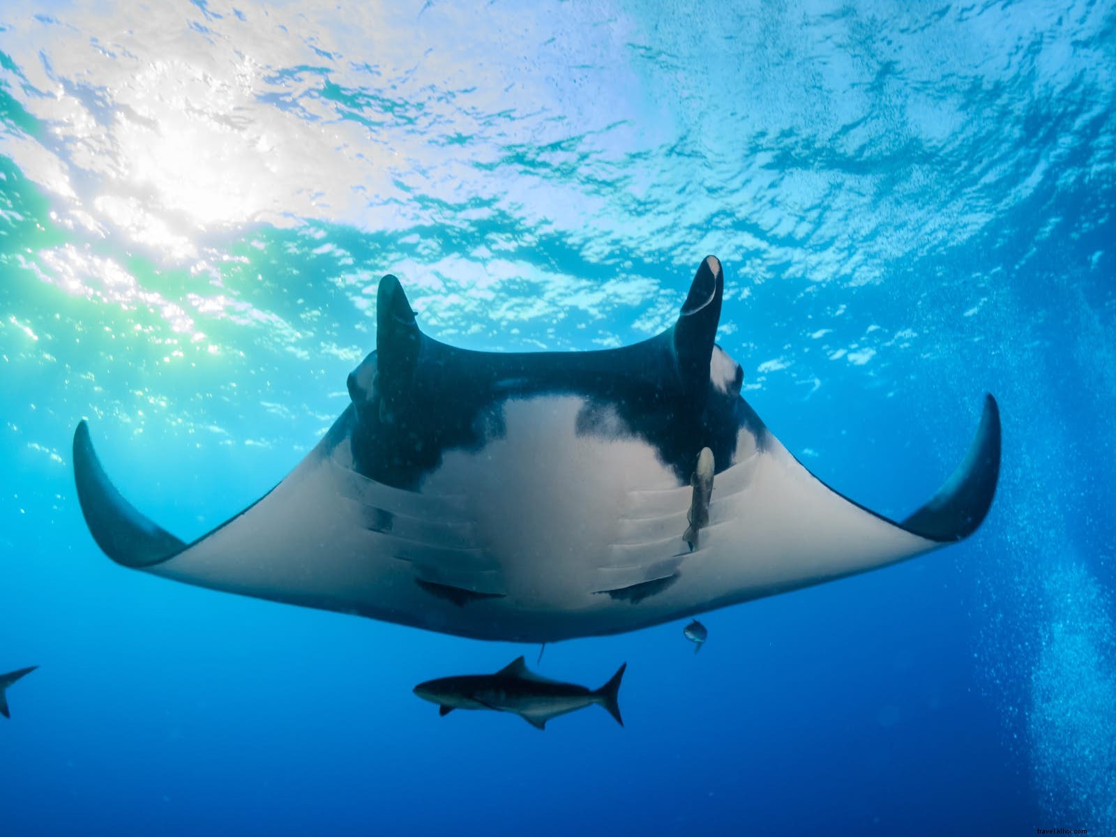 Top 10 Best Places to Visit in December: Adventure, Culture, Wildlife & Festive Delights