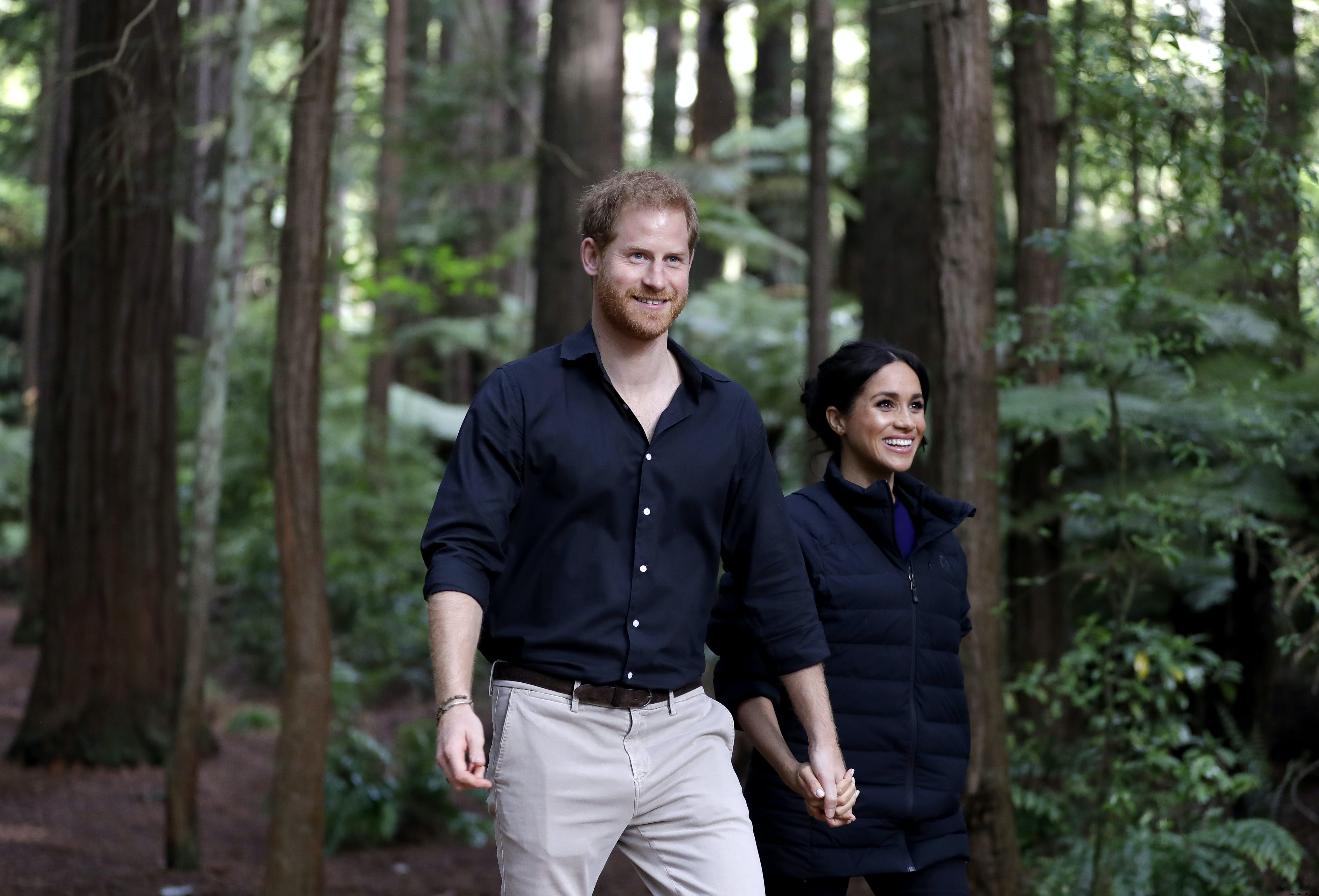 Prince Harry and Meghan Reveal Destinations for First Official Family Tour to Africa with Archie