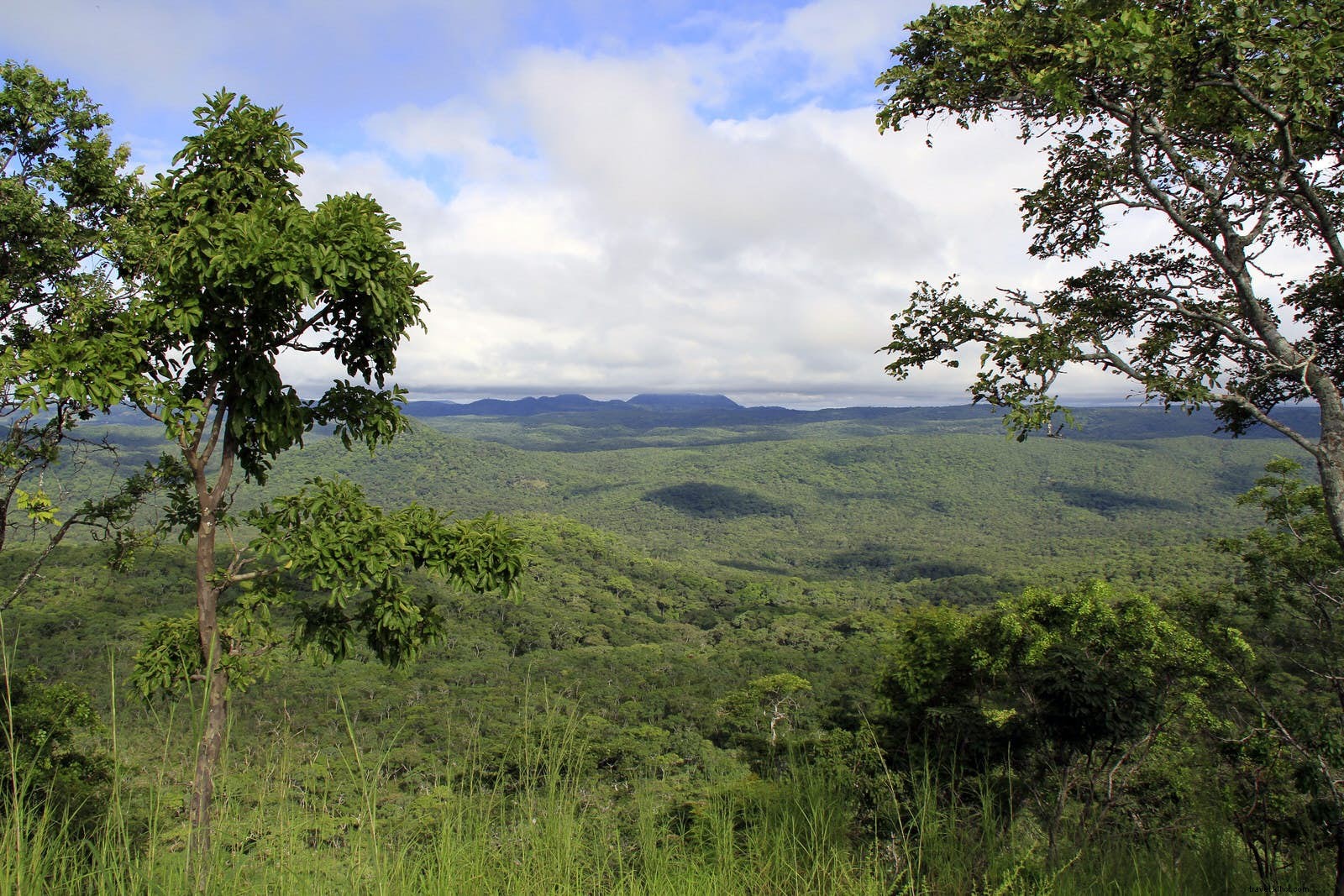 Malawi s Wildlife Renaissance: African Parks Revives Majete, Liwonde, and Nkhotakota