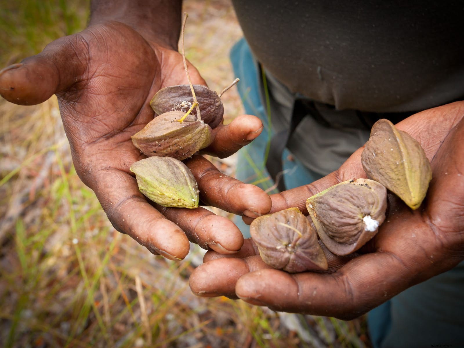 10 Unforgettable Food Adventures for Kids: Global Culinary Experiences Families Love