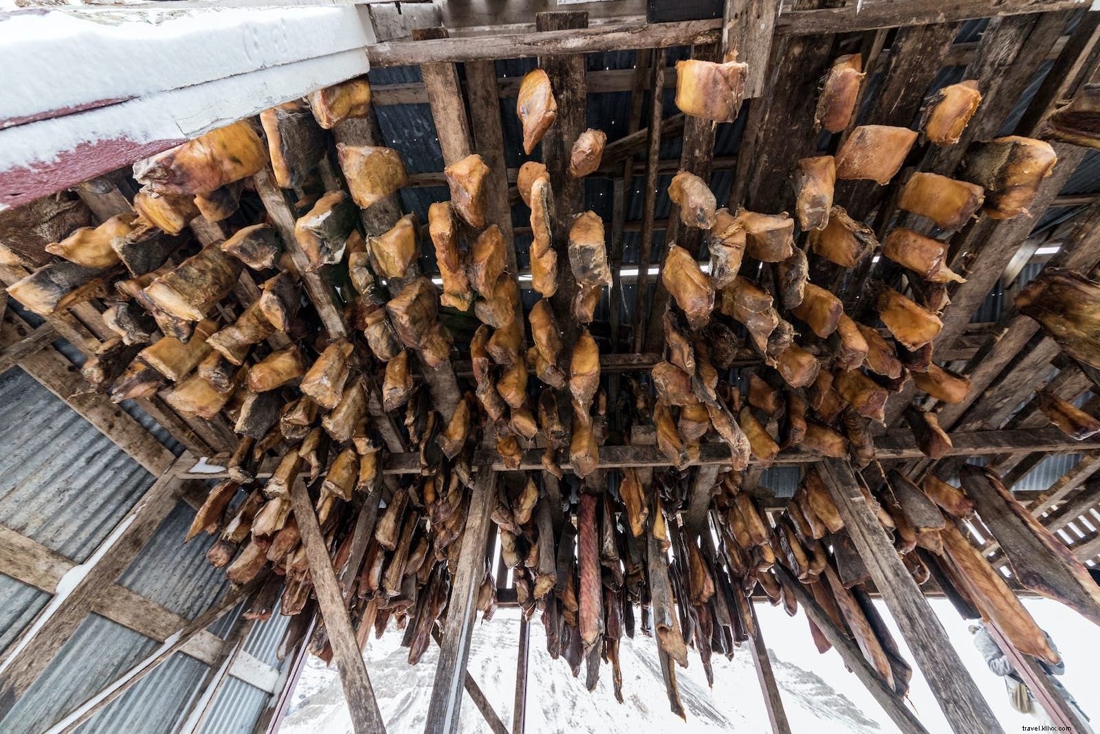 Lonely Planet Experts Share Their Most Bizarre Food Adventures Around the World