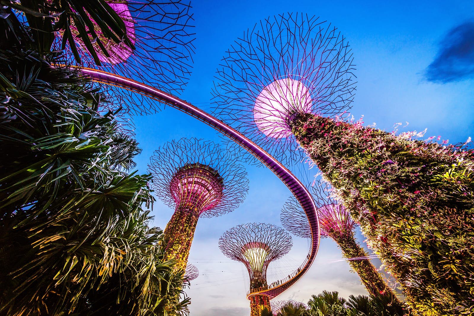 World s Top Botanical Gardens: Stunning Destinations for Nature Lovers