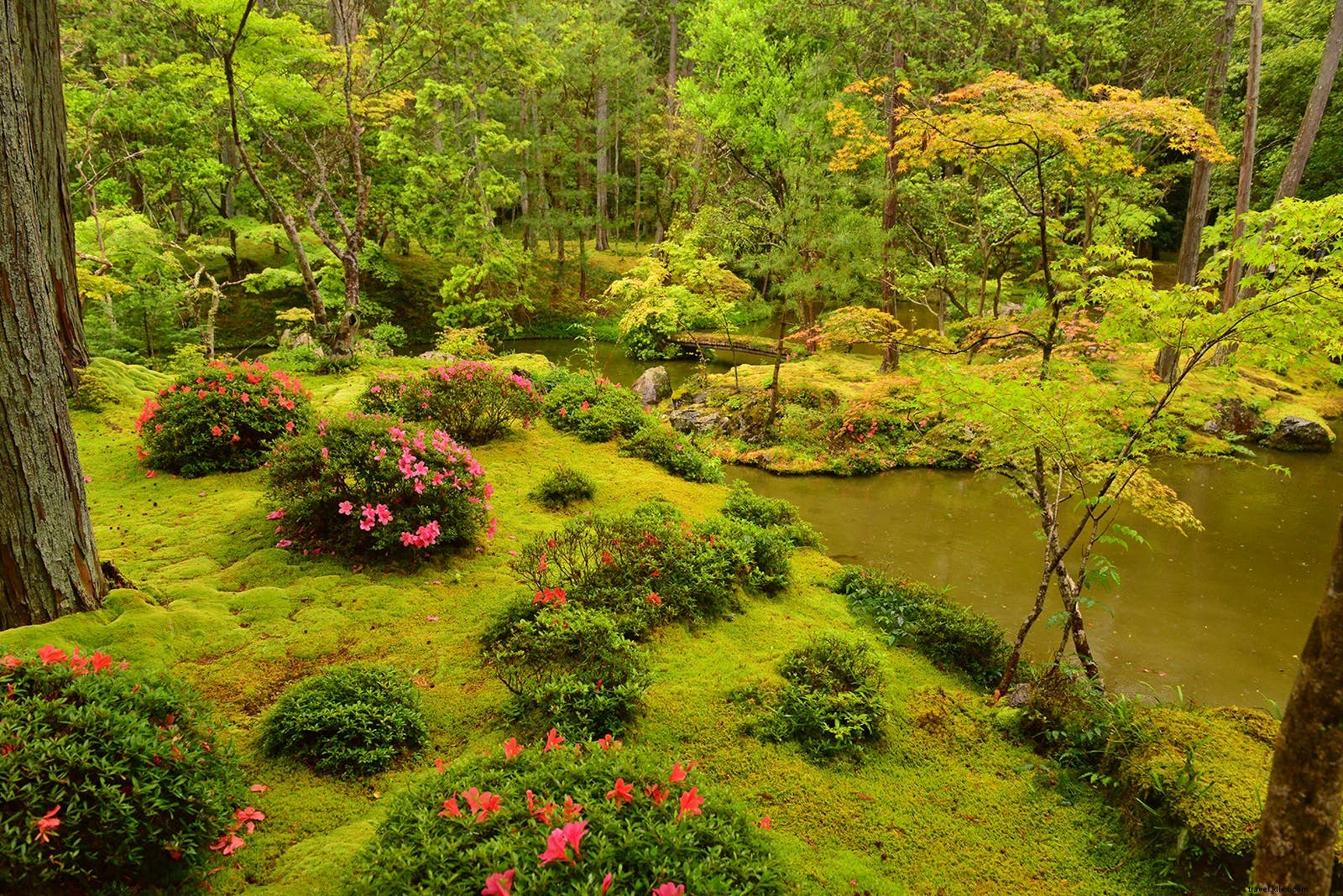 World s Top Botanical Gardens: Stunning Destinations for Nature Lovers