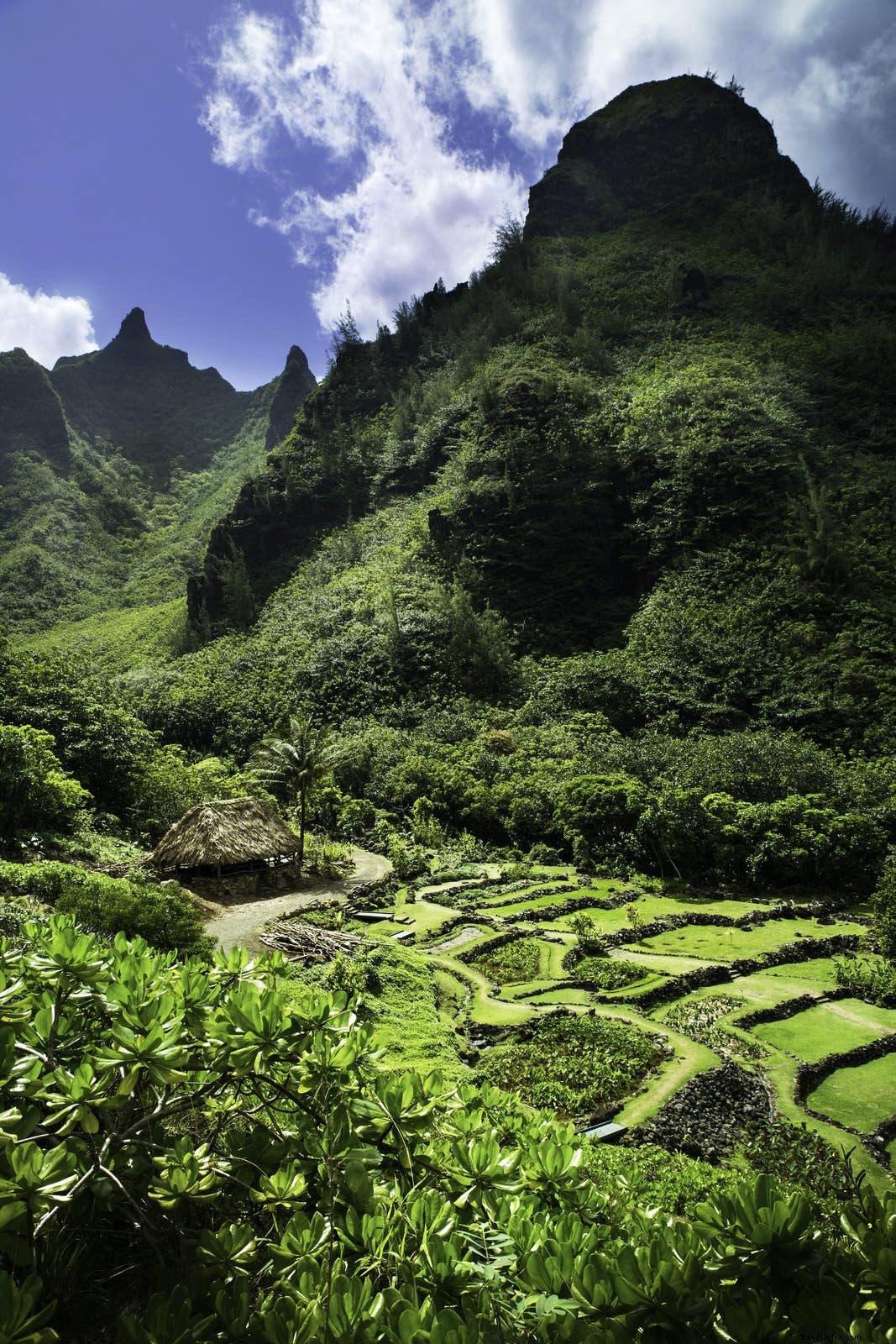 World s Top Botanical Gardens: Stunning Destinations for Nature Lovers