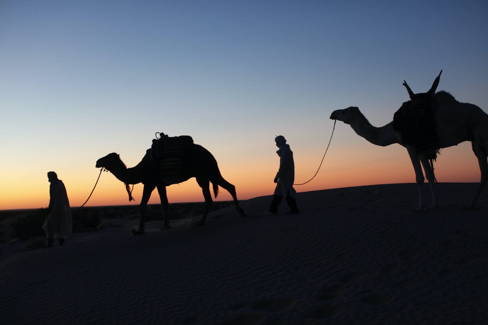 Ultimate Guide: Planning Your Camel Trek Adventure in the Tunisian Sahara